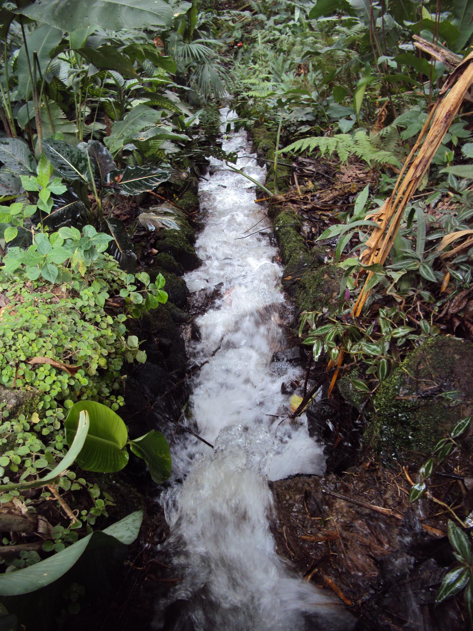 Jardín Botánico Eloy Valenzuela, por JuLio Jaramillo