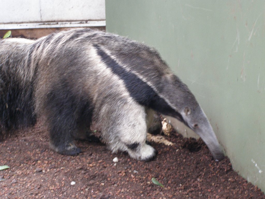 Zoo del Lunaret, por nuria