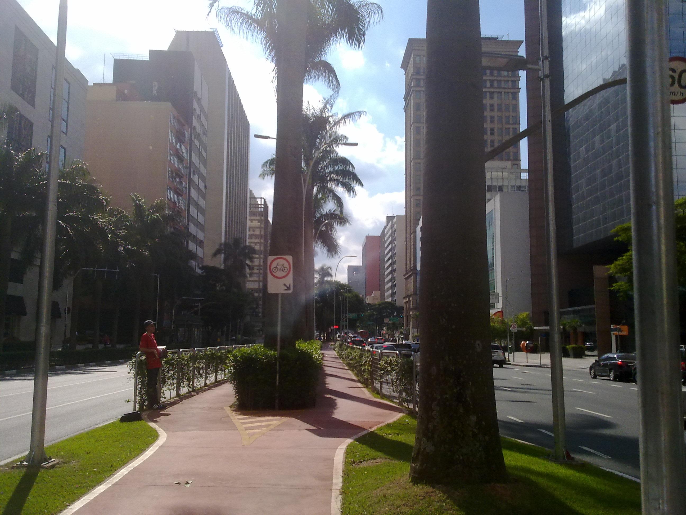 Avenida Brigadeiro Faria Lima, por Guillermo C Hdez