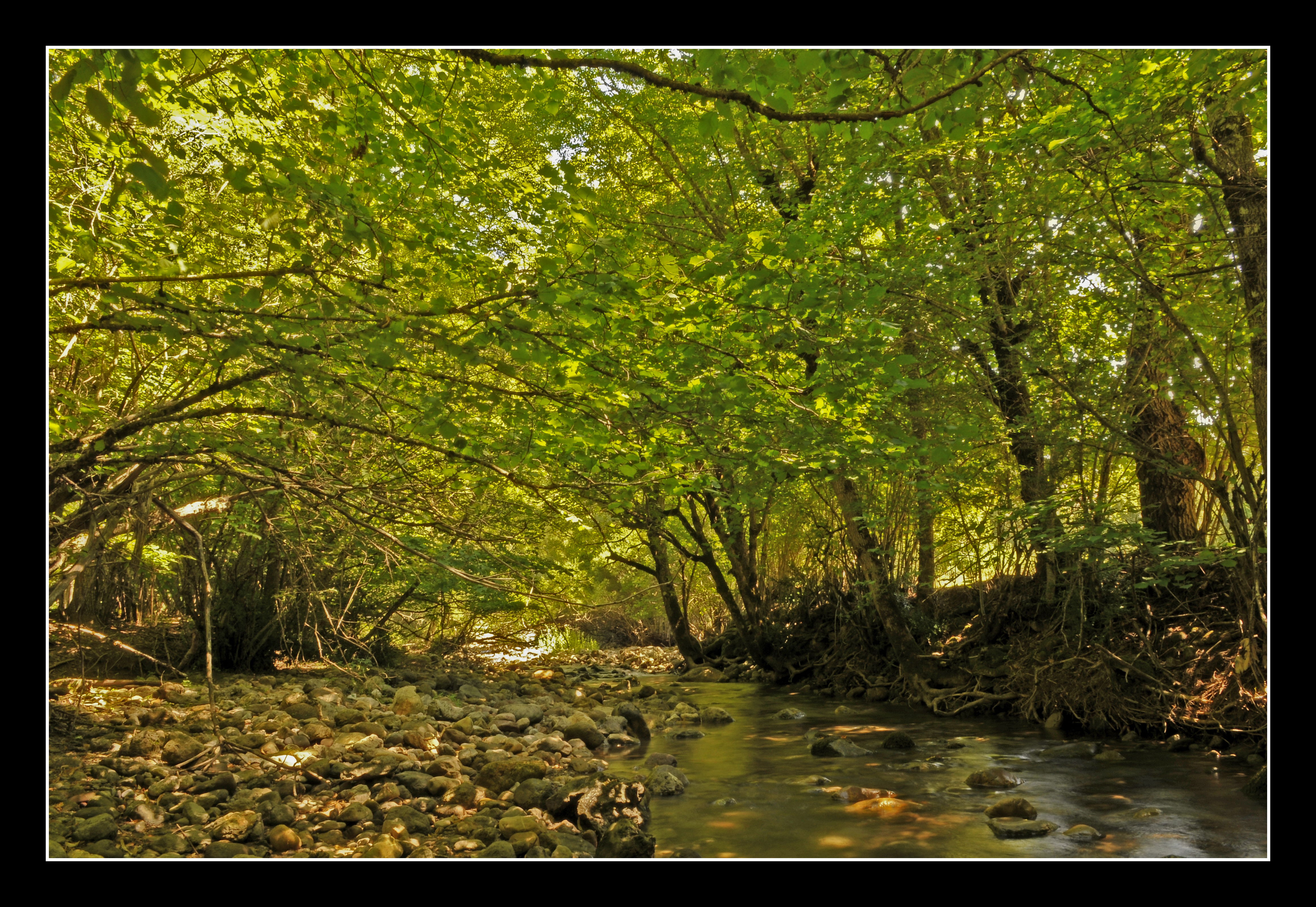 Rio Blanco, por Josep Quiñonero Romero