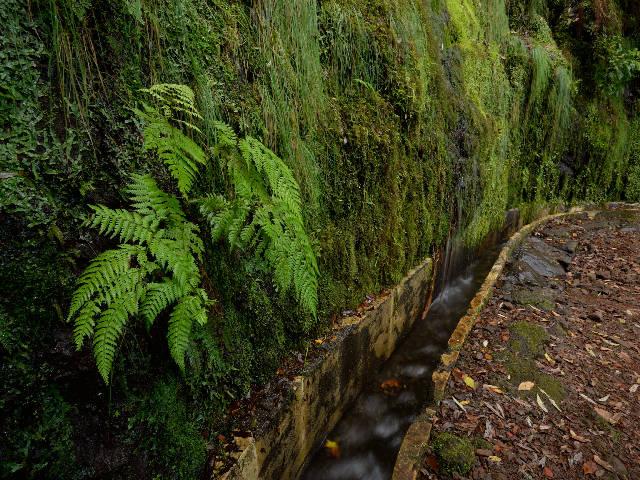 PR10 - Levada do Furado, por albertoloyo