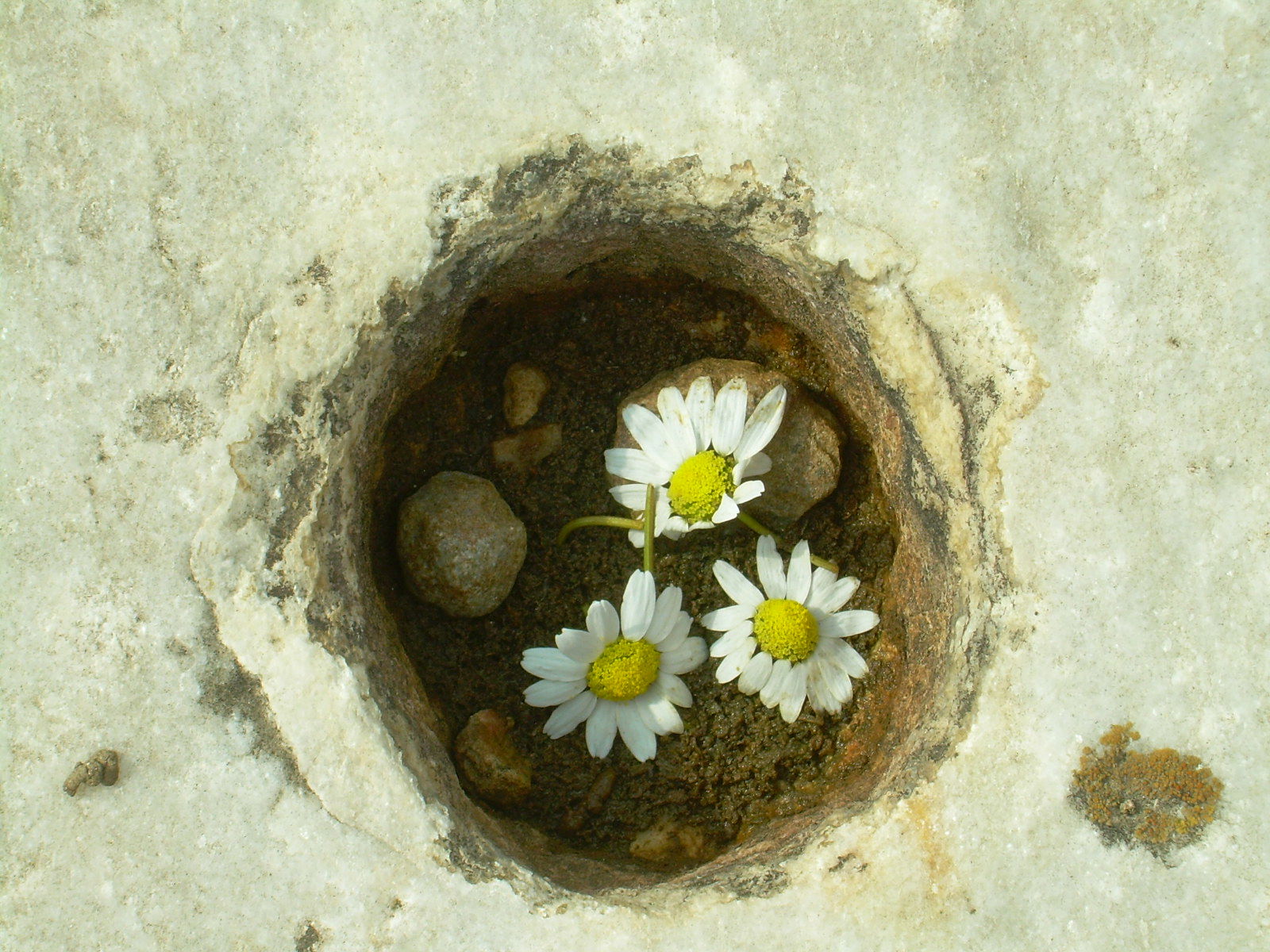 Ciudadela de Selcuk, por mmozamiz