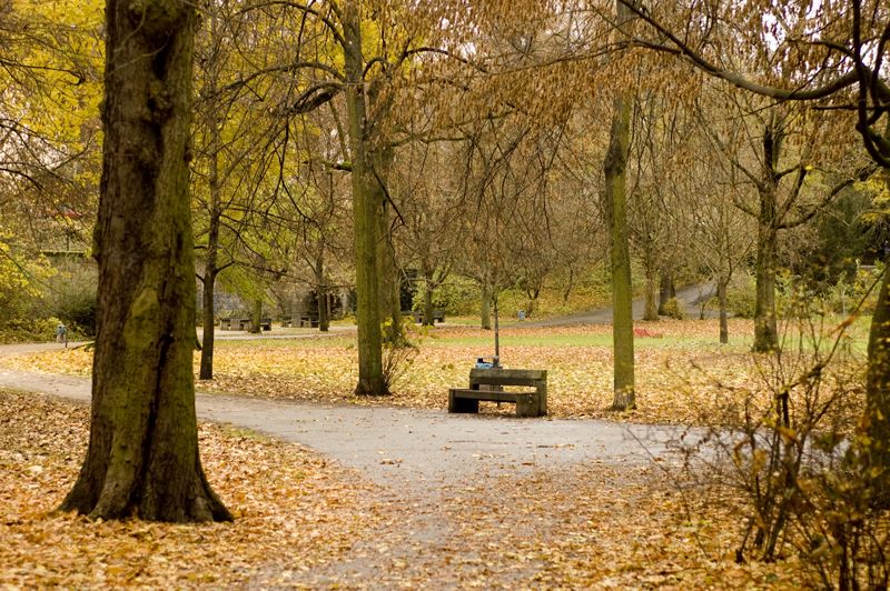 Parque Rosenau, por Sebastian Muñoz