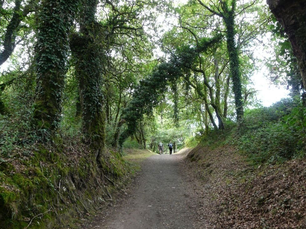 Camino De Santiago, por macugh