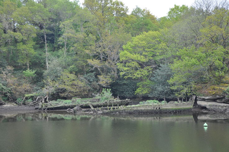 Paseo del Bosque de Amor, por Sophie & Yannick