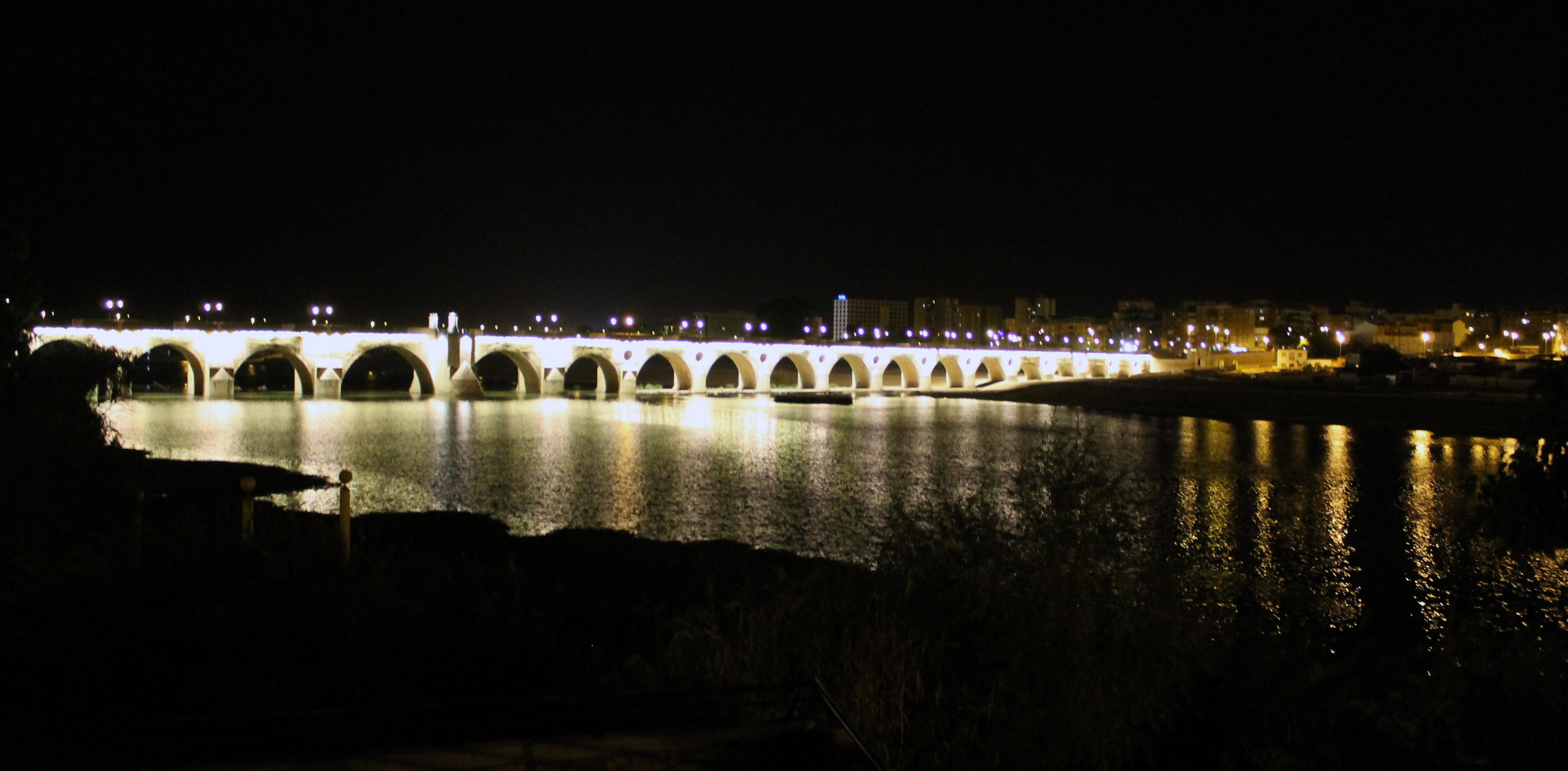 Puente de Palmas, por Teresa Fdez de A