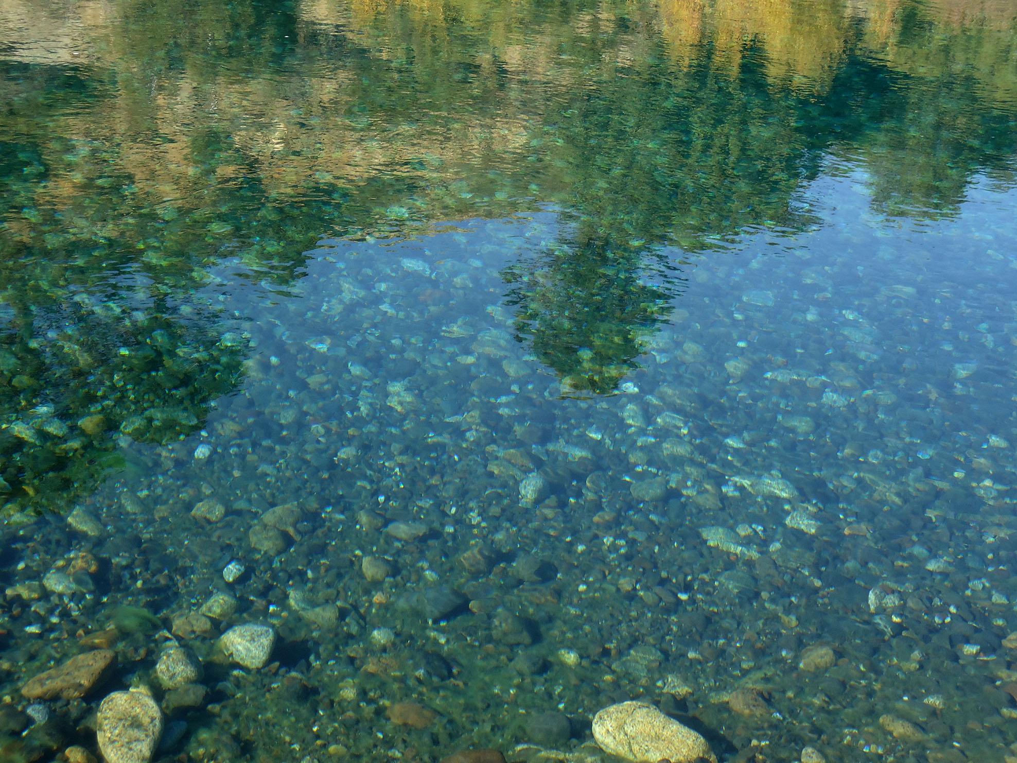 Río Chimehuín, por Marta Pilar