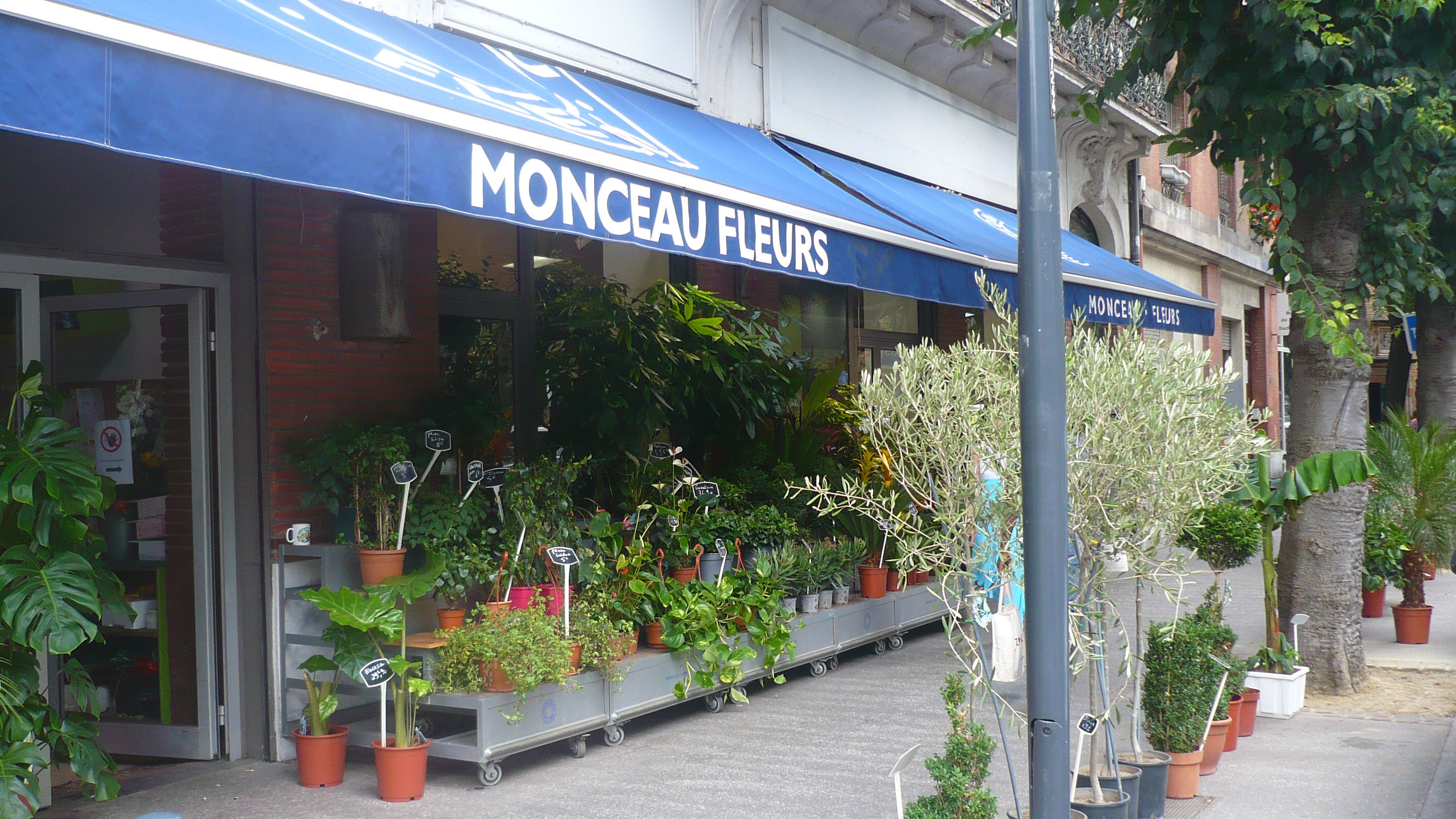 Monceau Flores, por sprat decaste
