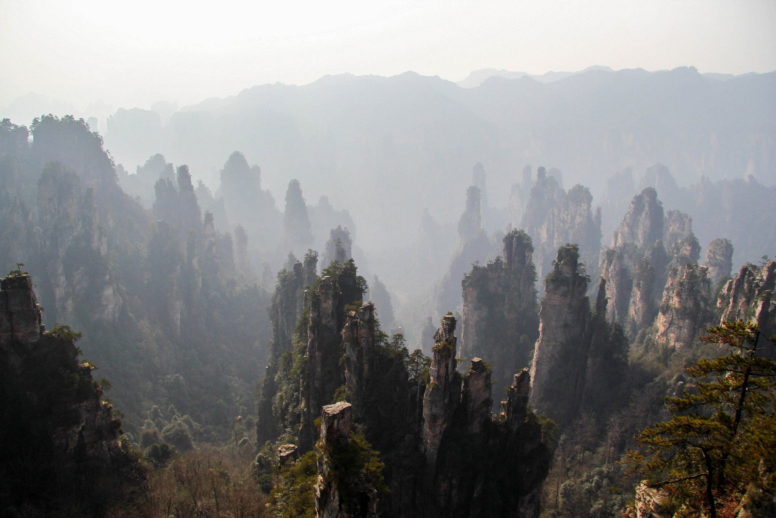 Parque Nacional de Zhangjiajie, por Miriam y Fernán