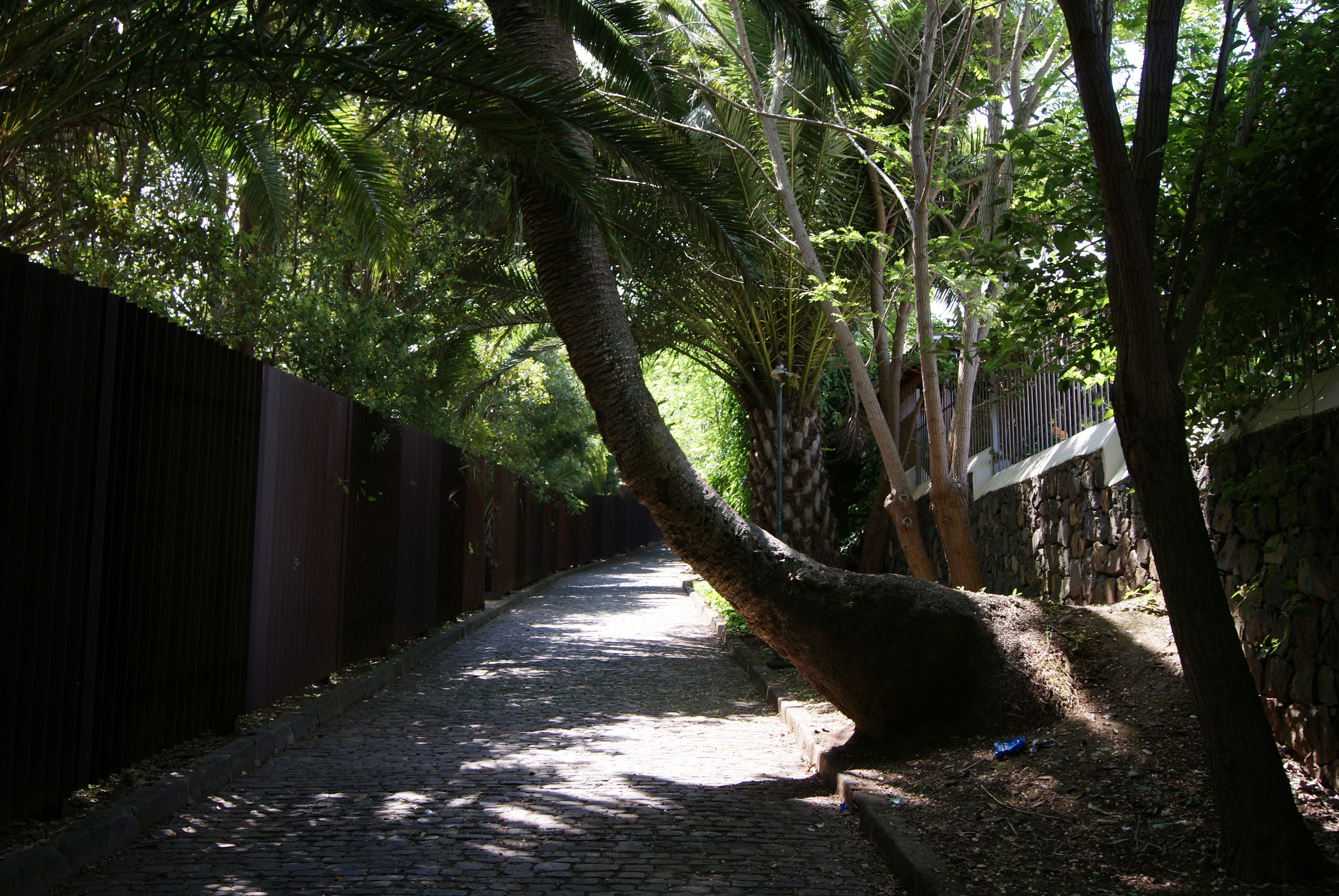 Parque Hamilton, por Roberto Gonzalez