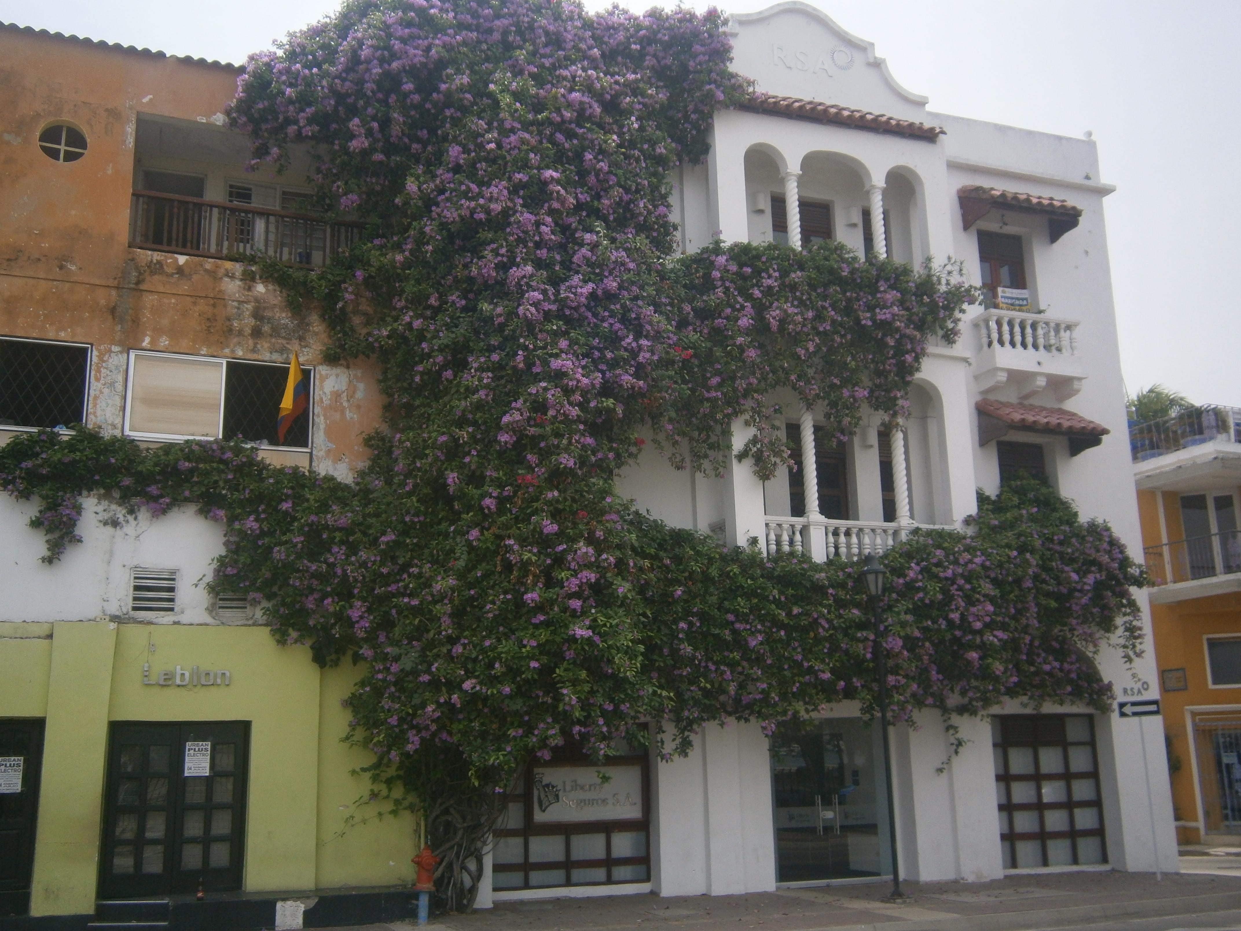 Leblon Disco Club, por Andys Miguel Ortega Salas