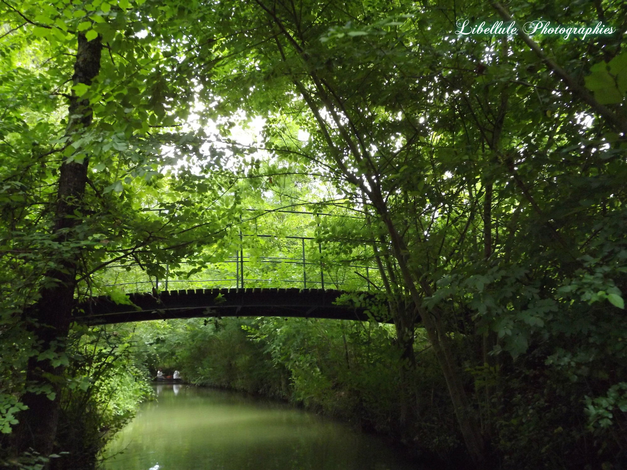 A Romantic Route Through The Marais Poitevin   027b180acc3cc9f42d8f9a308e80150a 