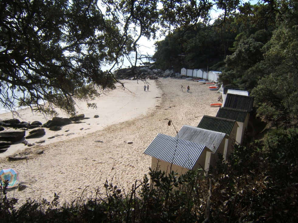 Playa de Anse Rouge, por Irène 