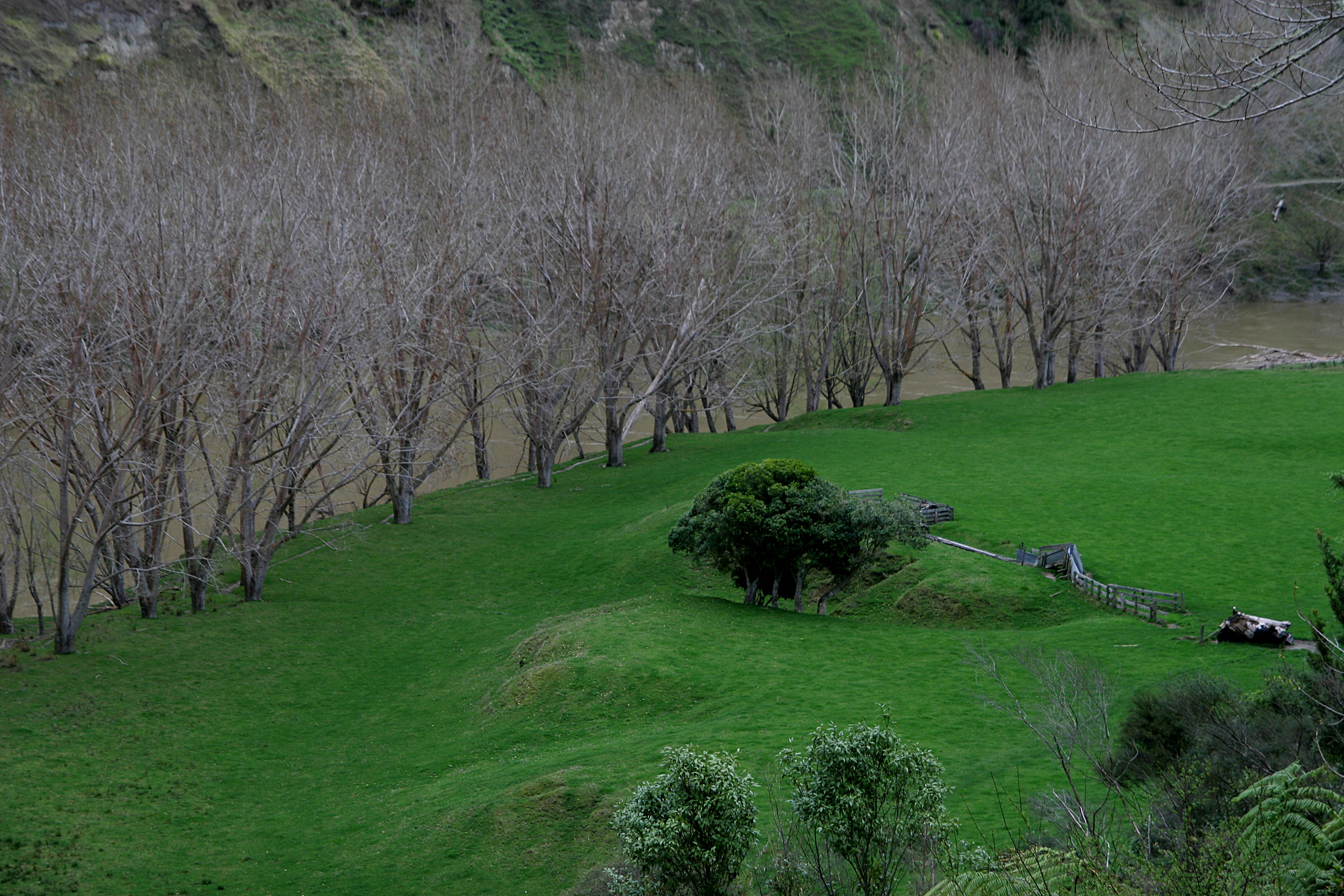 Río Wanaka, por GUILLERMO GARCIA