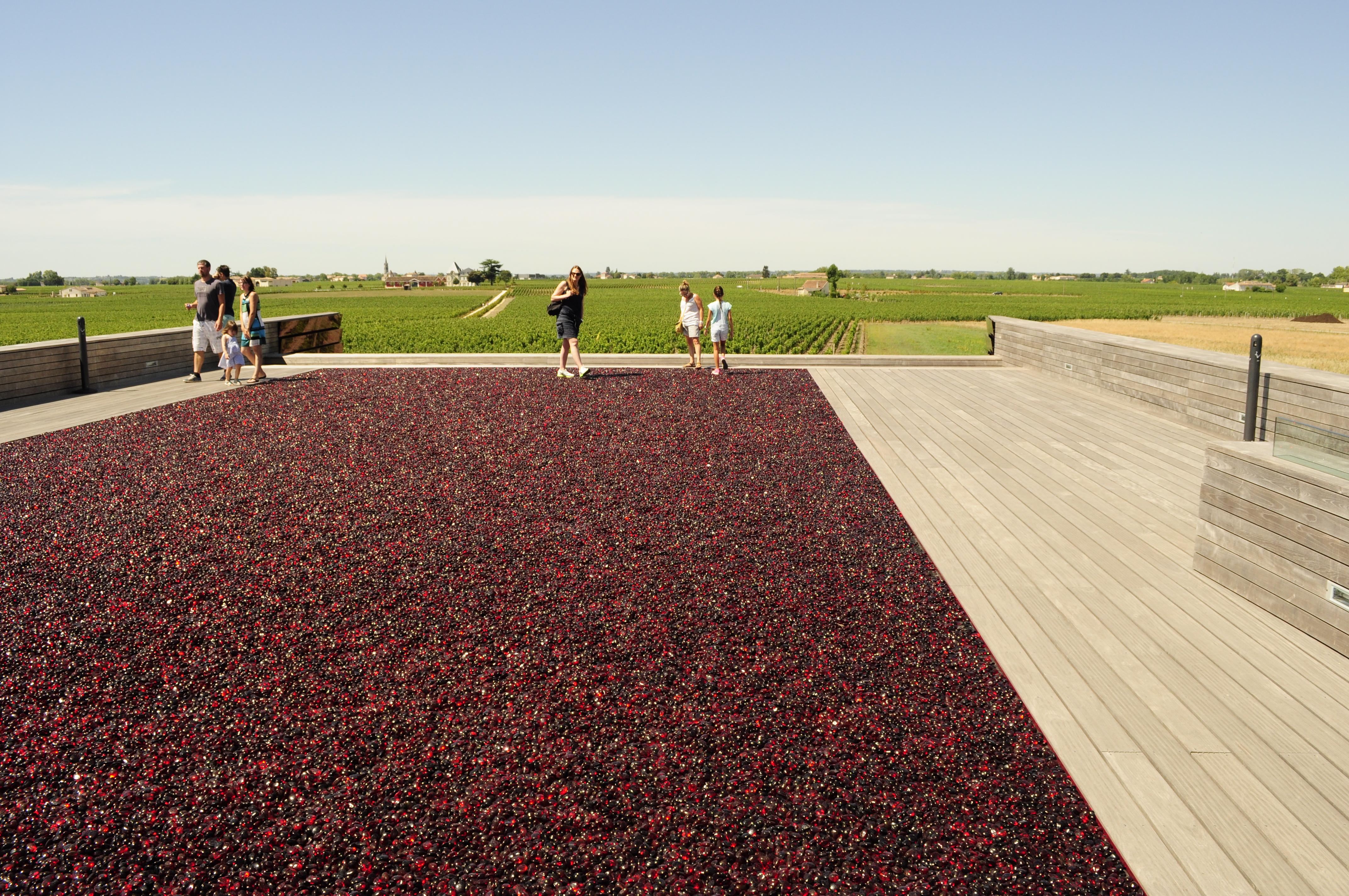 Bodegas en Saint-Émilion: un viaje por la cultura del vino