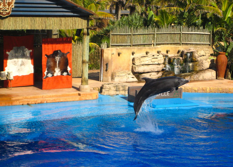 UShaka marine world, por Zai Aragon