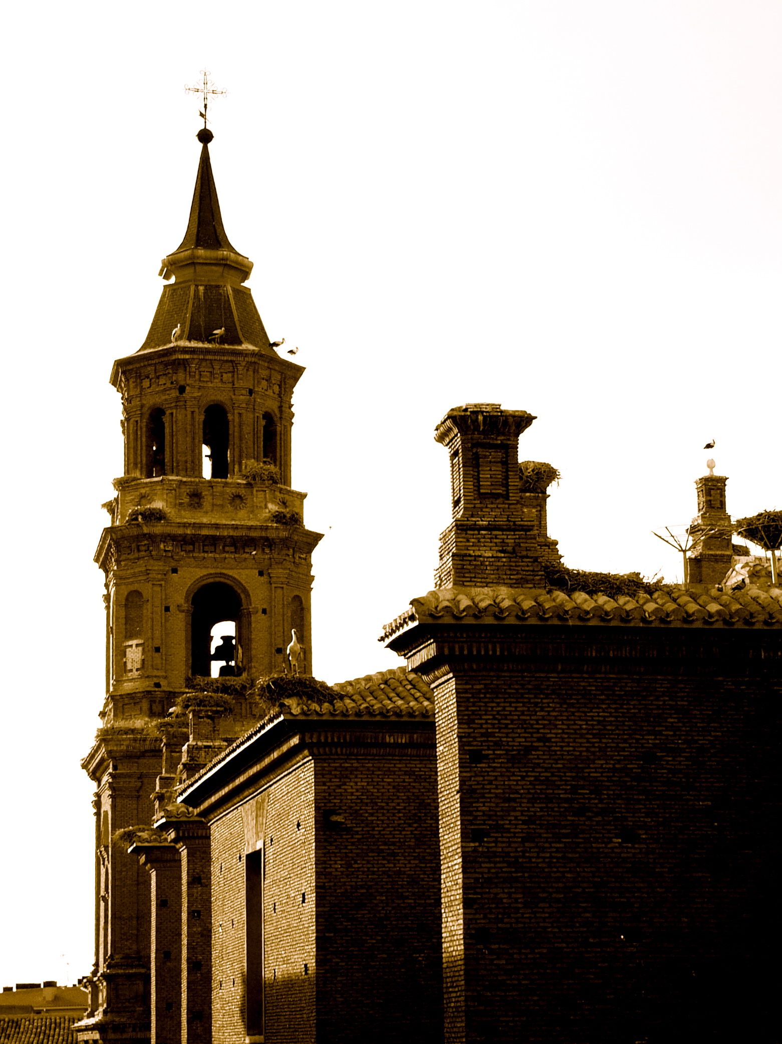 Colegiata de San Miguel Arcángel, por Leyre Lopez Garcia
