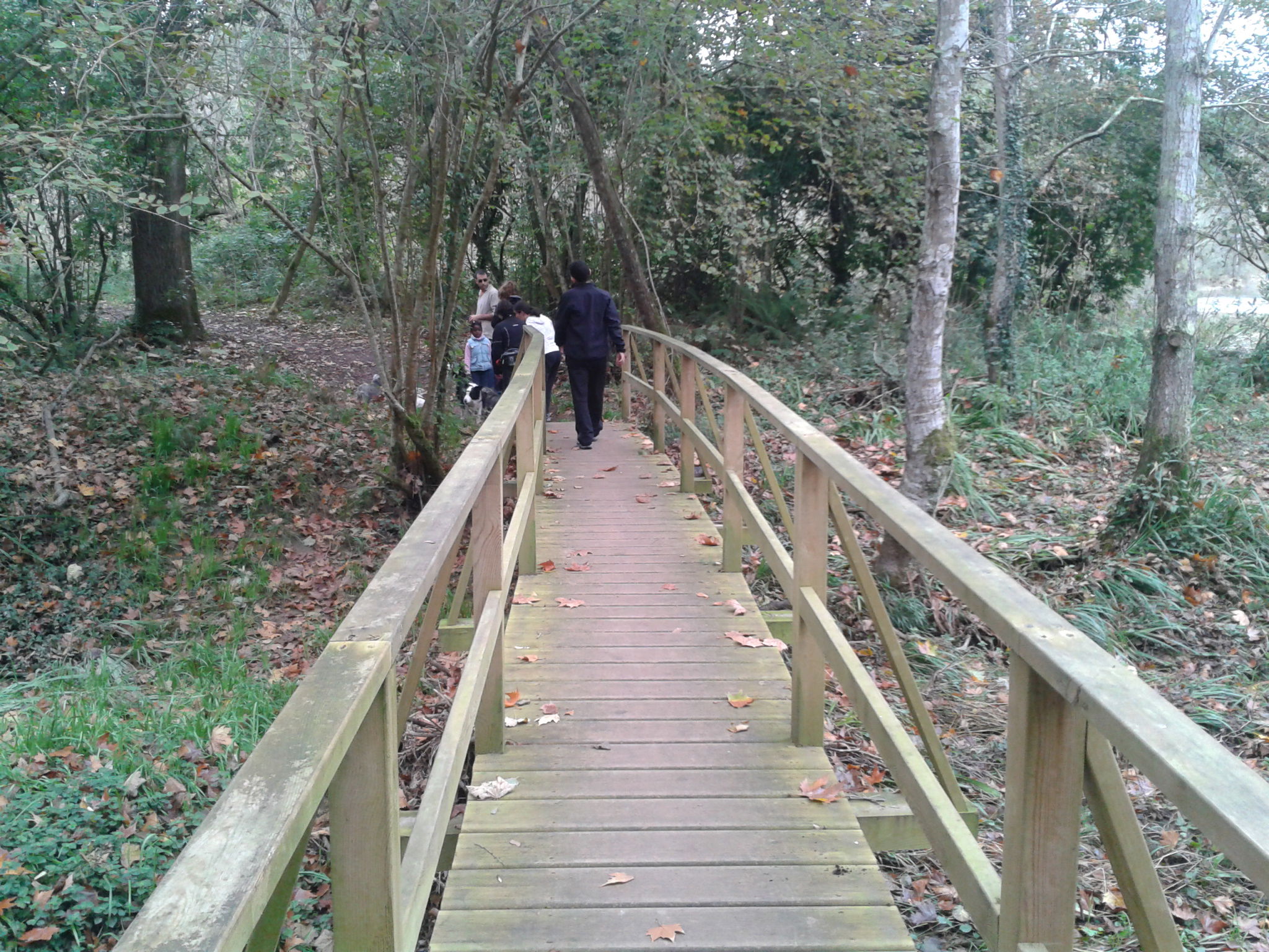 Camino fluvial del Nansa, por Bigelfo