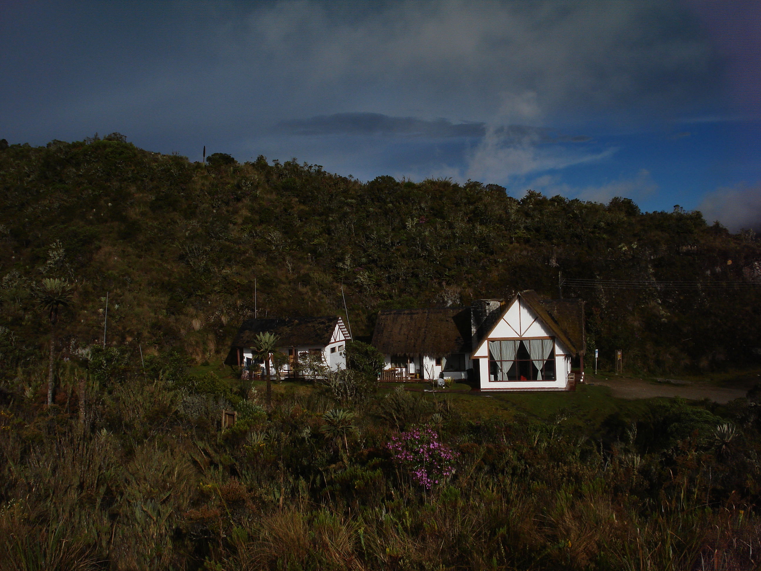 Paramo de Chingaza, por luchin