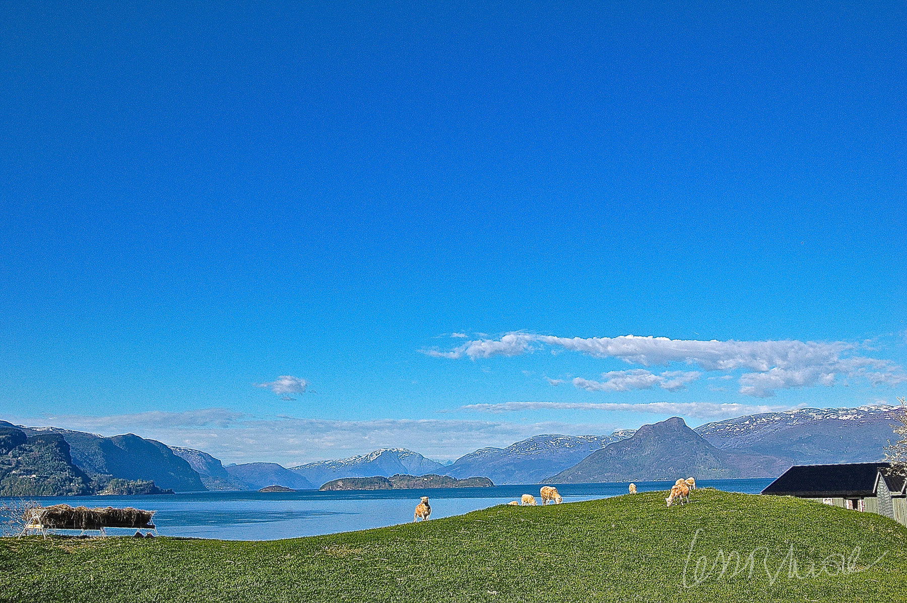 Fiordo de Hardanger, por Judit Sánchez Velasco