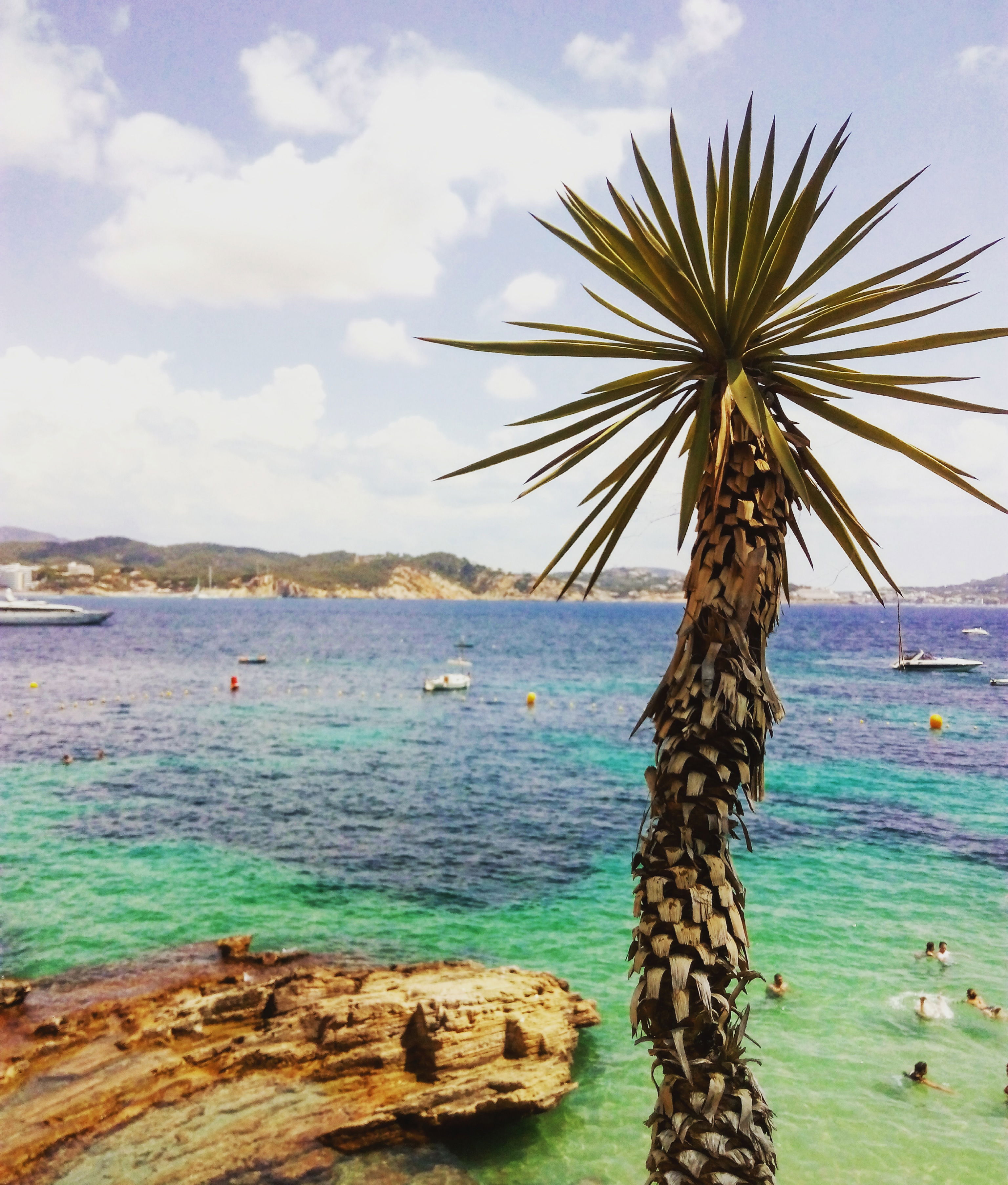 Calas espectaculares de Calvià que enamoran a los viajeros