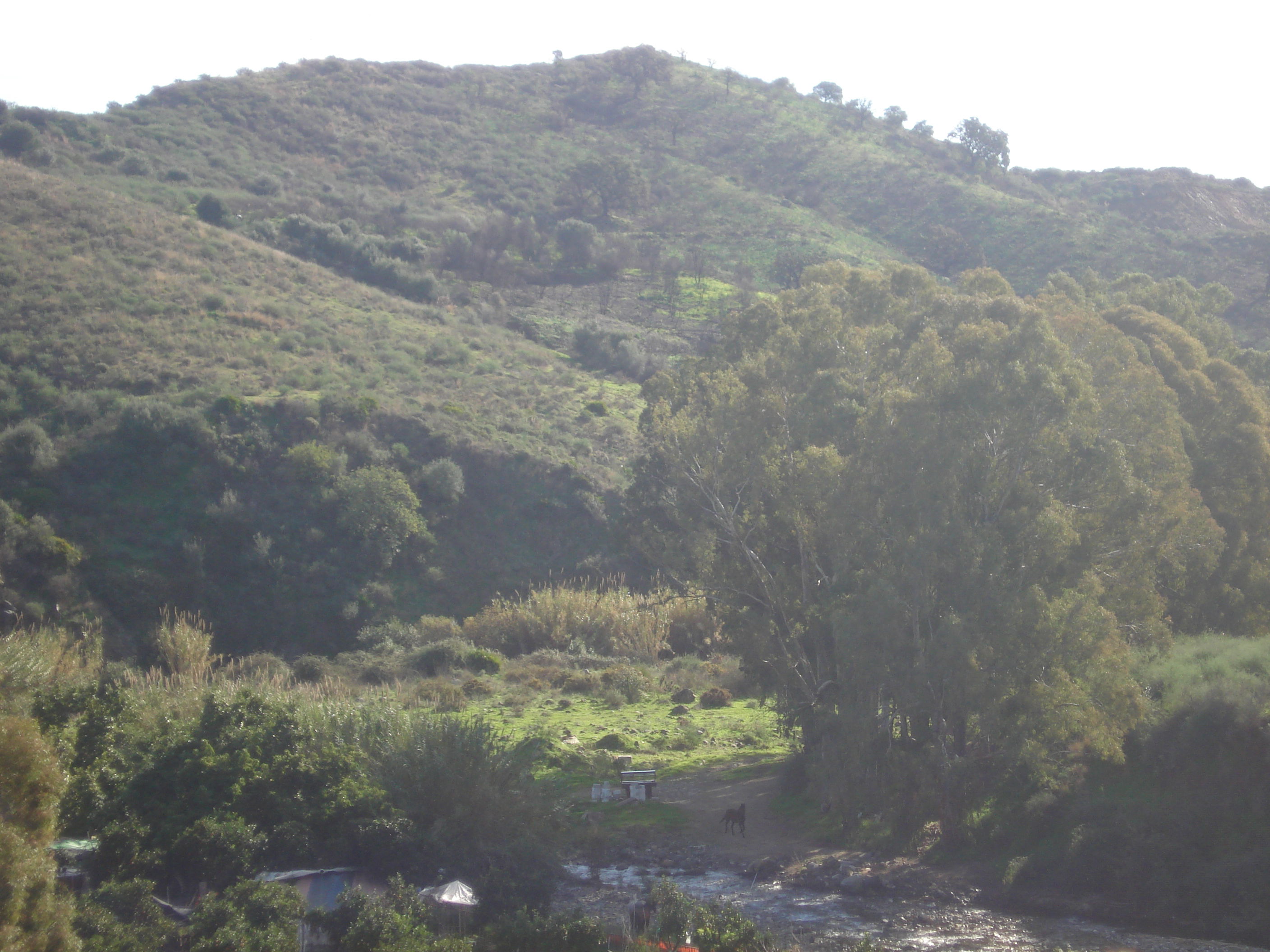 Centro Hípico, por Marilo Marb