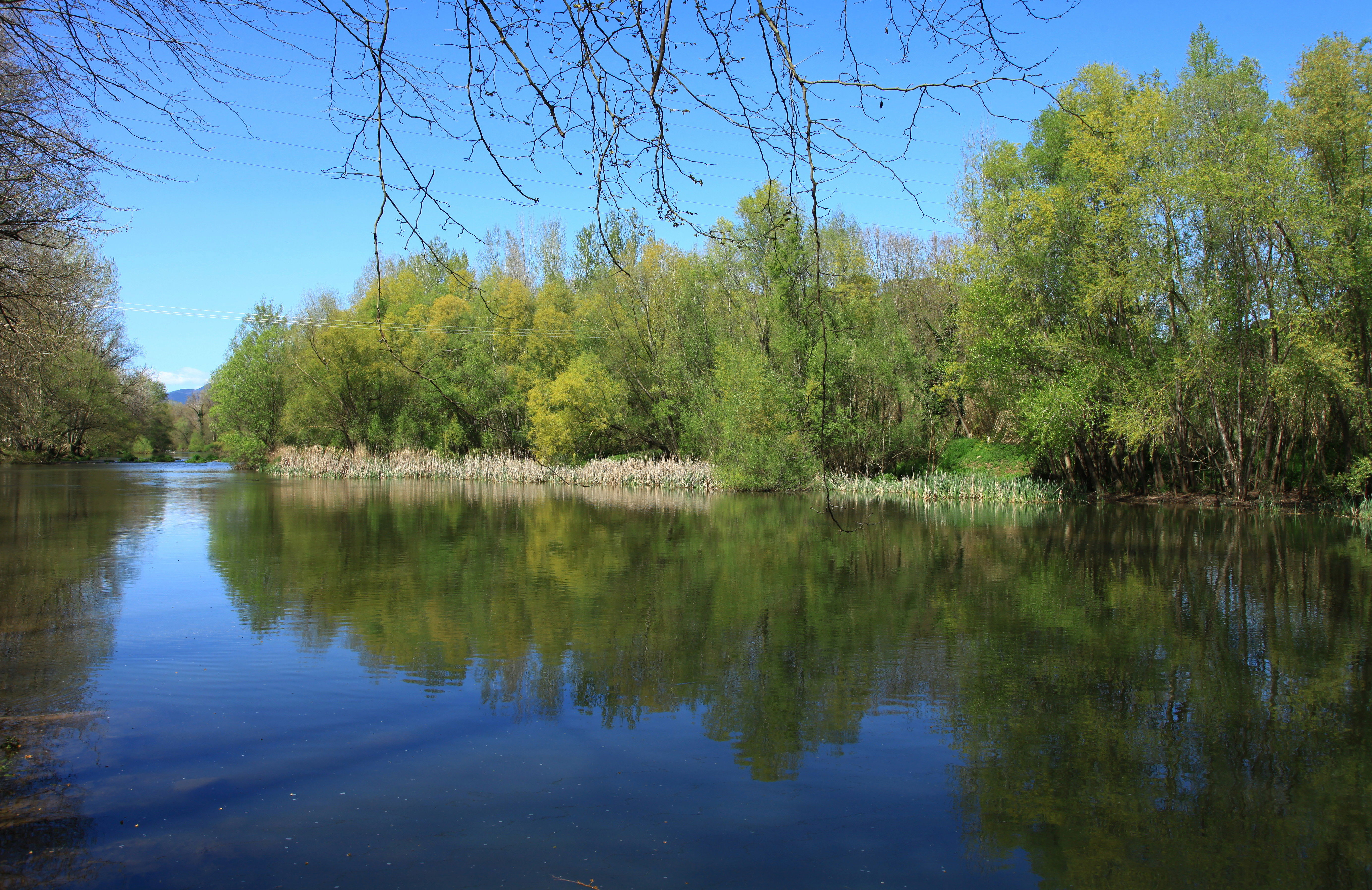 Ríos de Girona que embellecen paisajes y acercan la naturaleza