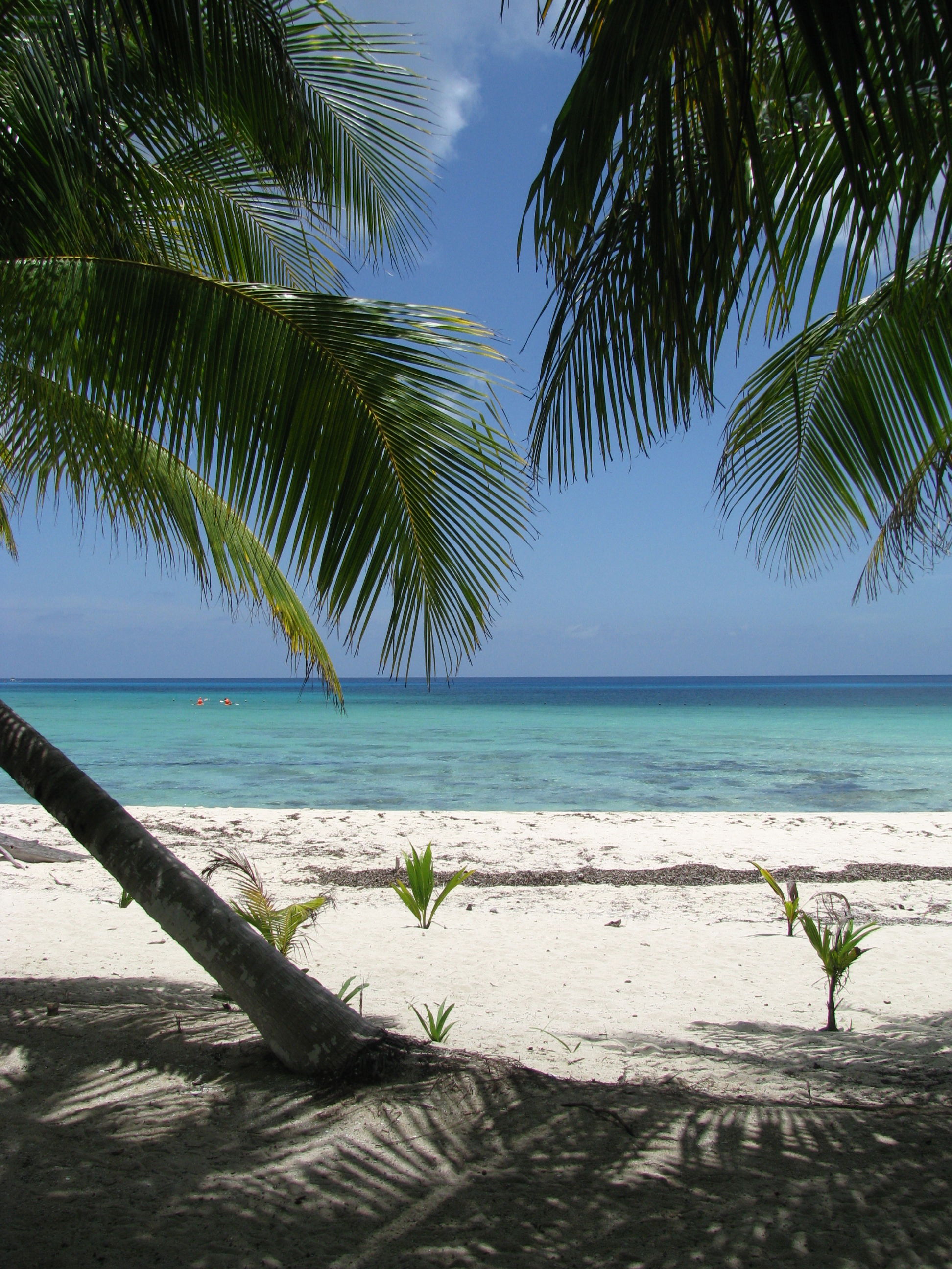 Playa Palancar, por Lonifasiko