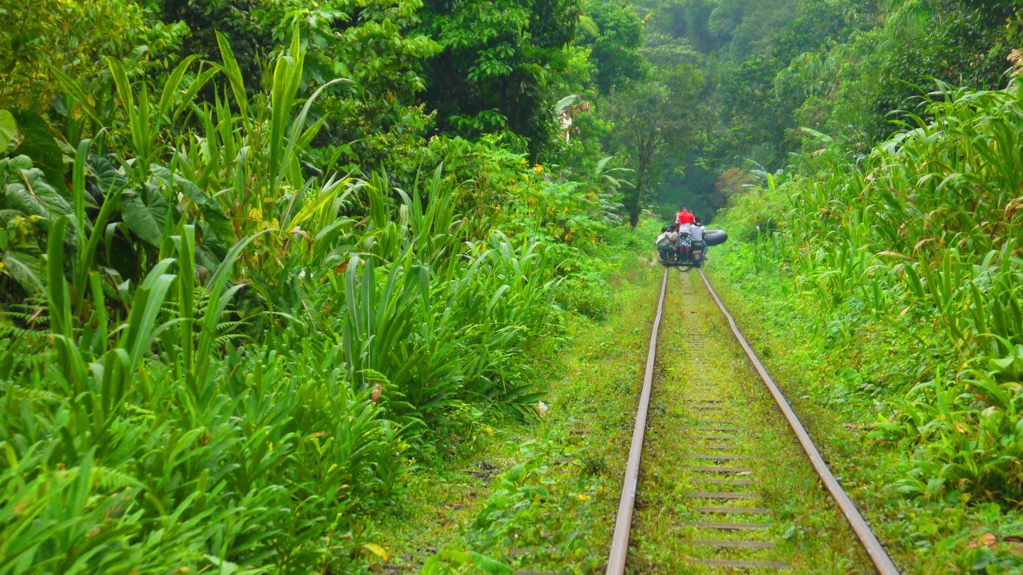 Excursión a la Reserva Natural San Cipriano desde Cali