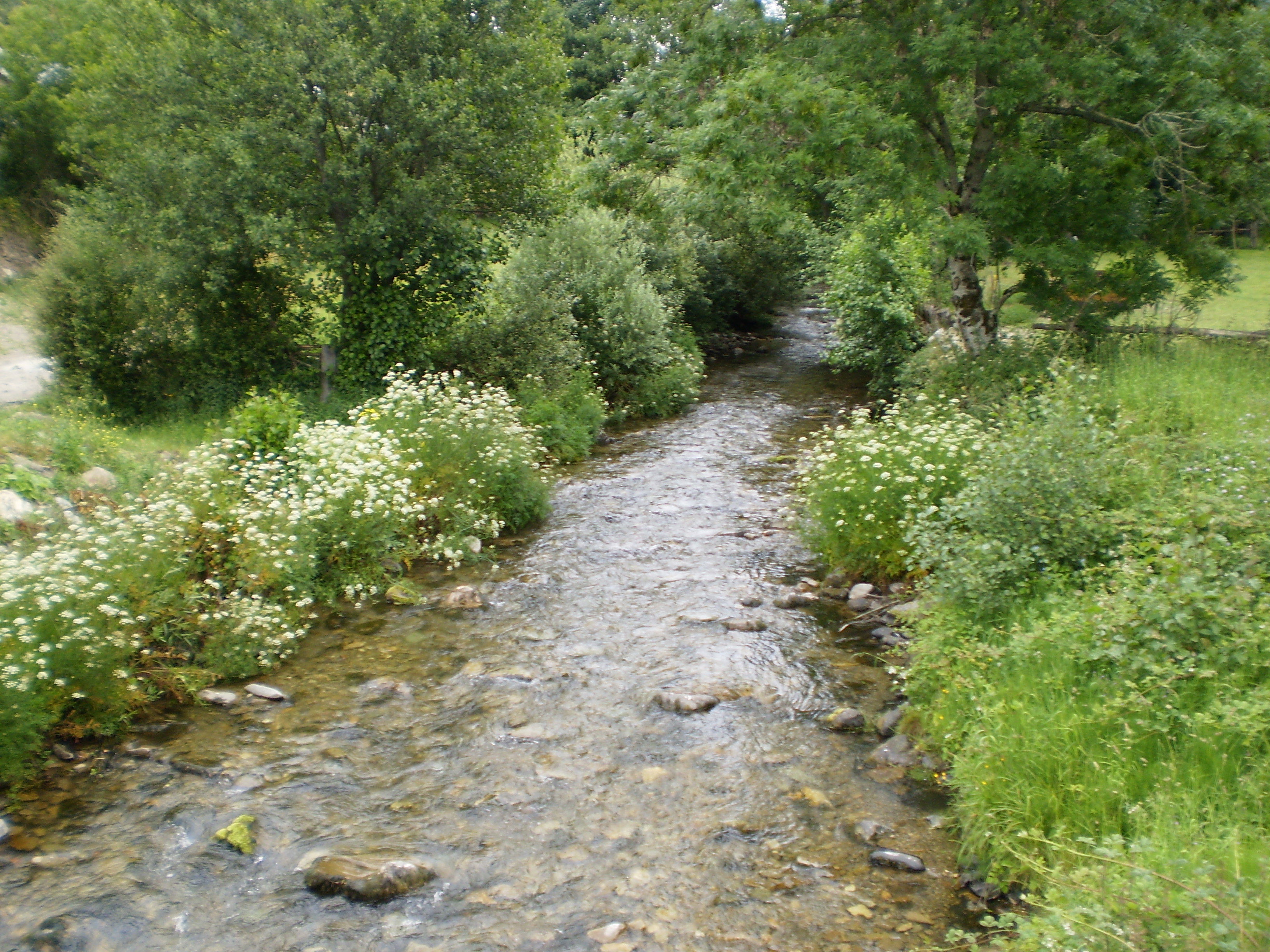 Camino Real Degaña-El Rebollar, por Enma