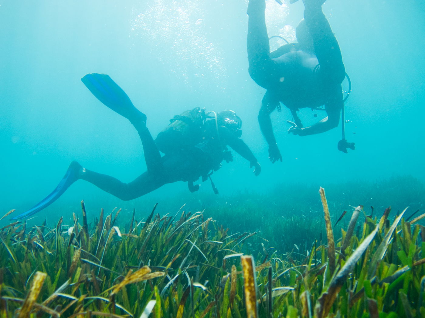 Atlantida Buceo, por Ignacio Izquierdo