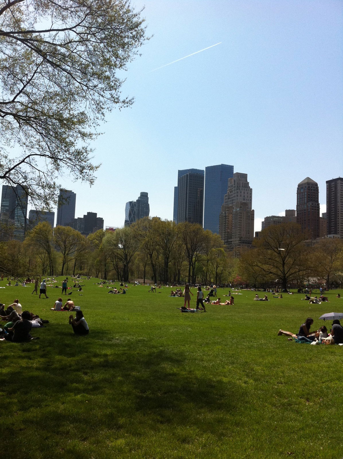 Sheep Meadow, por jessica
