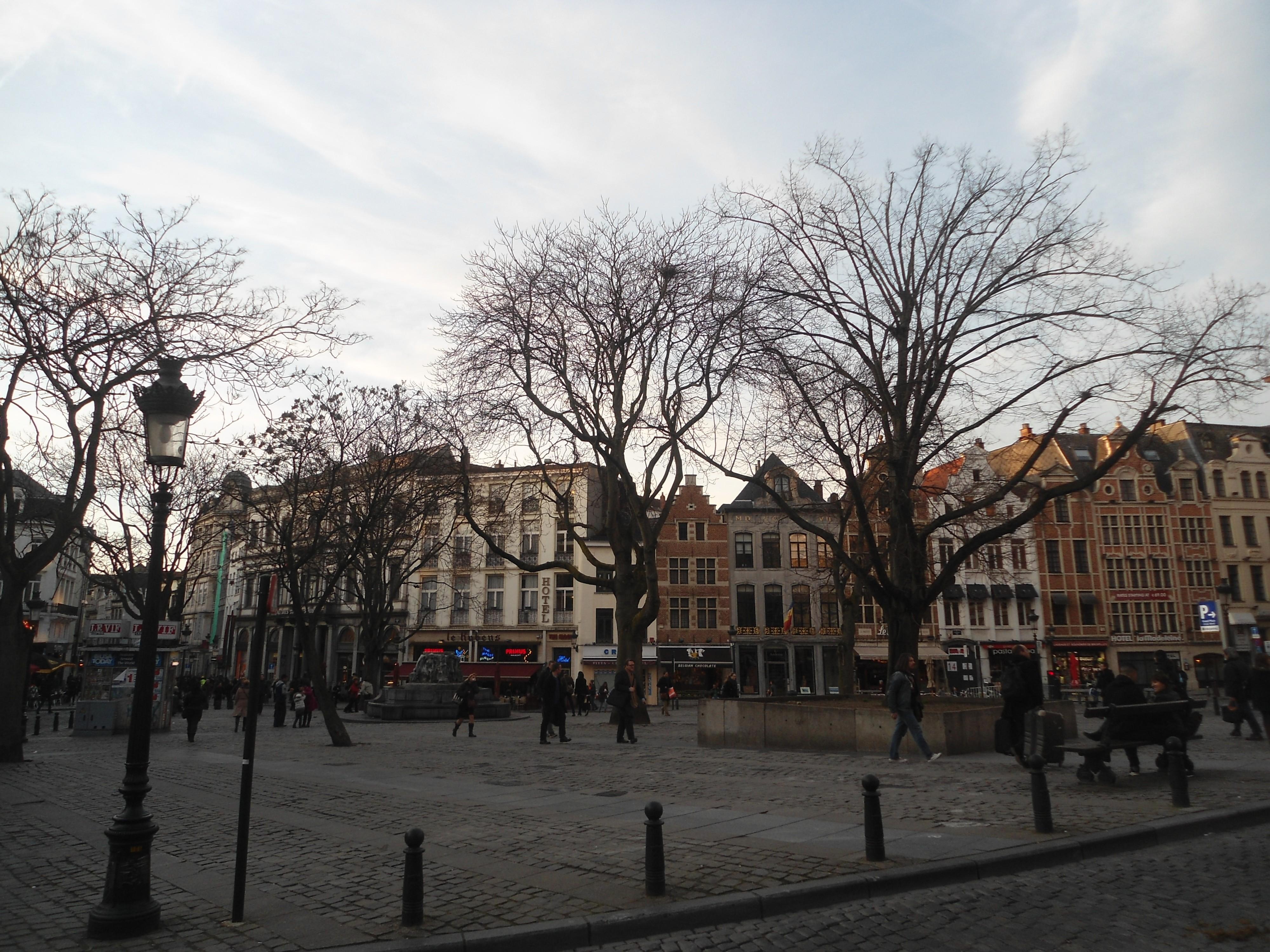 Plaza del Mercado con hierbas, por Marie & Matt
