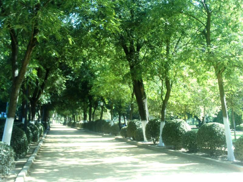 Parque de la Consolación, por El Viajero