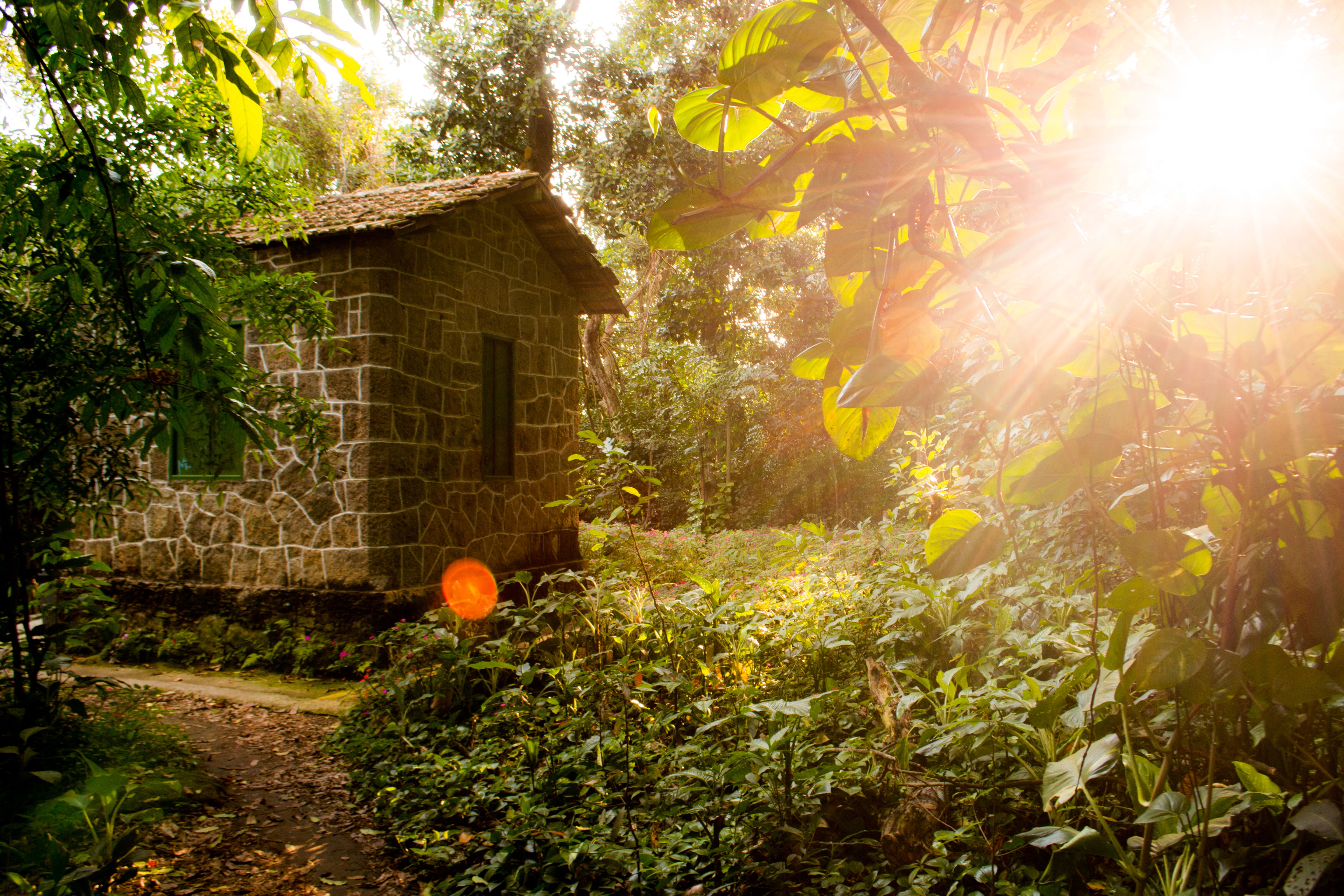 Parque Lage, por Mauro de Castro Monteiro