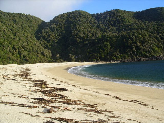 Parque Mapu Lahual, por Tribi Lin
