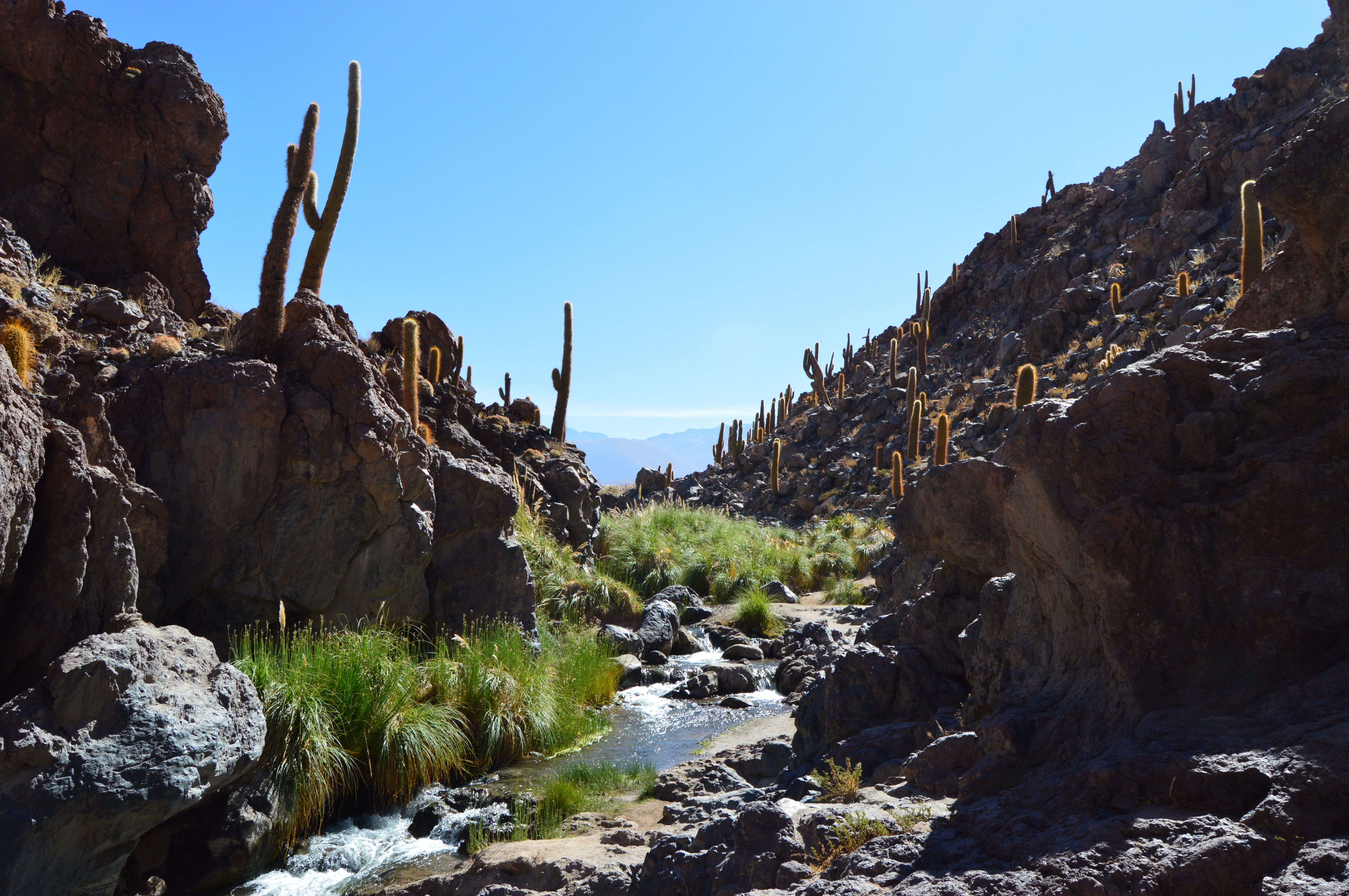 Cañones en Chile: paisajes asombrosos que no te puedes perder