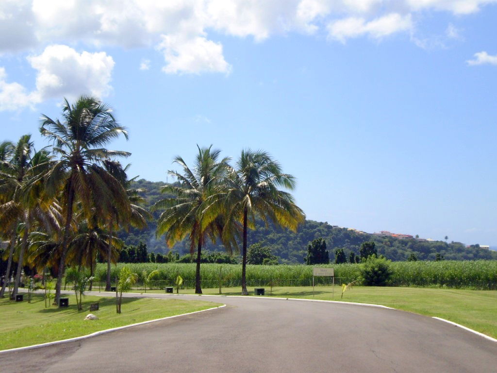 Plantación de la Montagne Pelée, por Lala