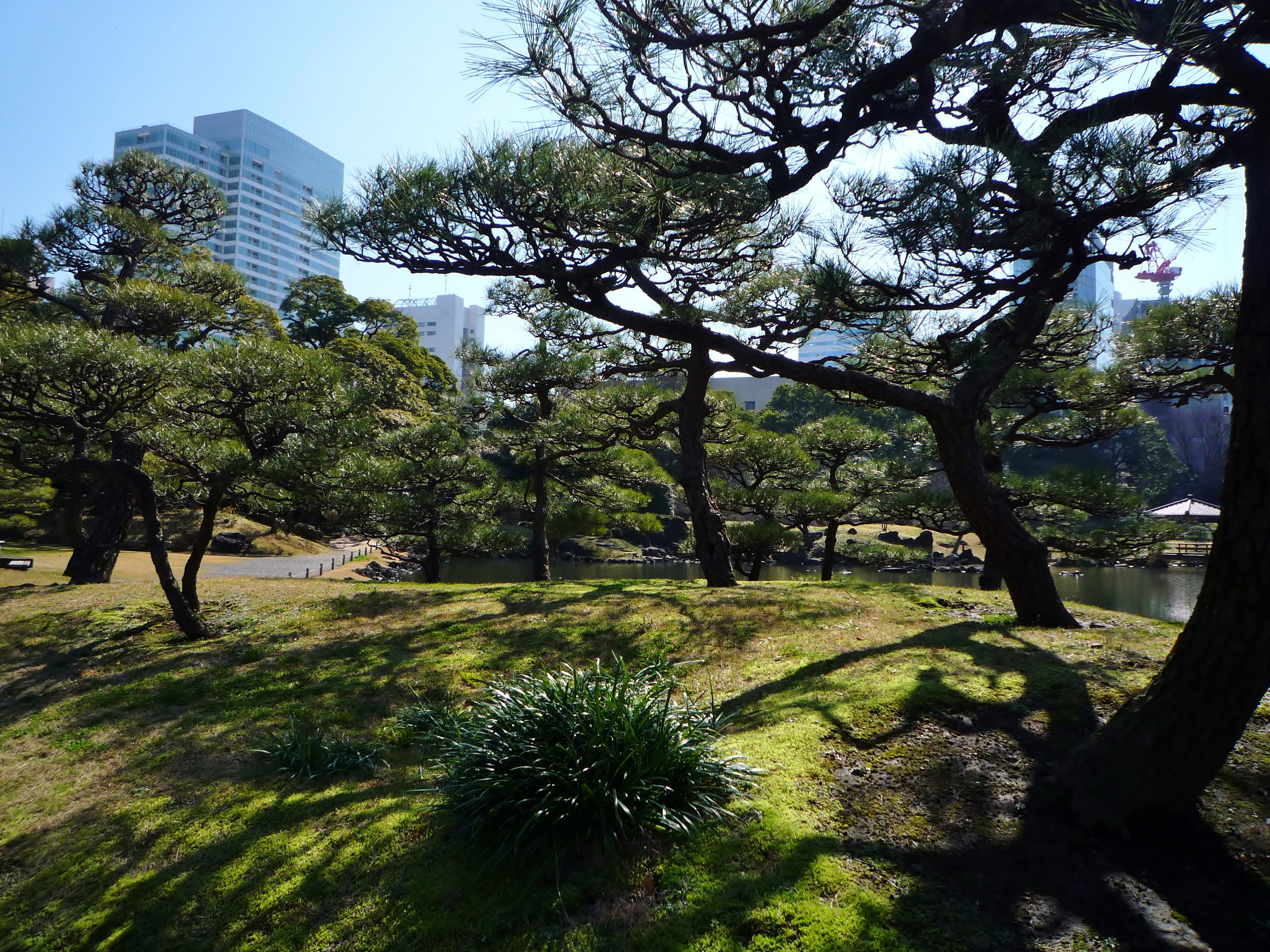 Kyu Shiba Rikyu Onshi Teien, 旧芝離宮恩賜庭園, por Jesssss5