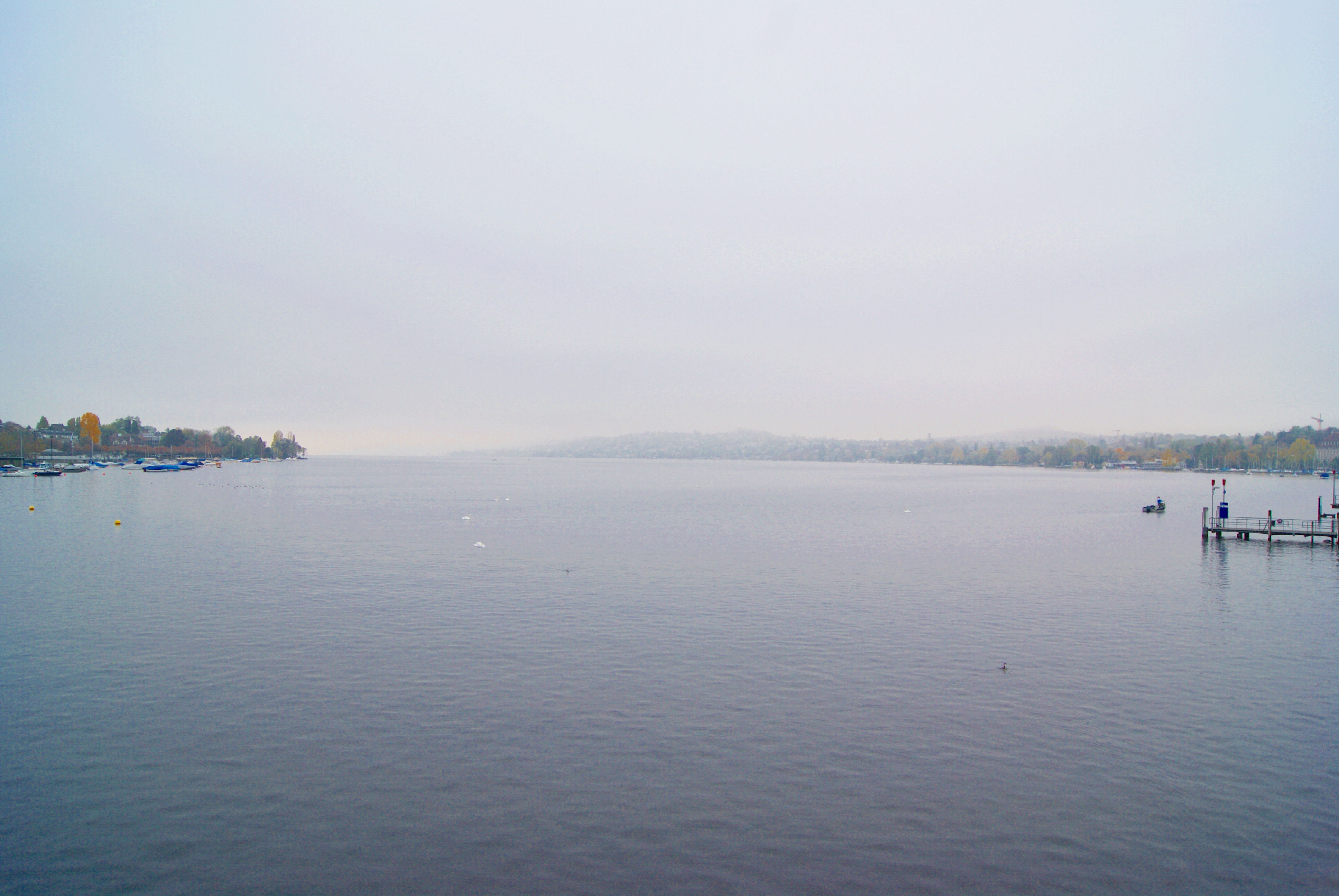 El paseo del Lago o Mythen Quai, por Roberto Gonzalez