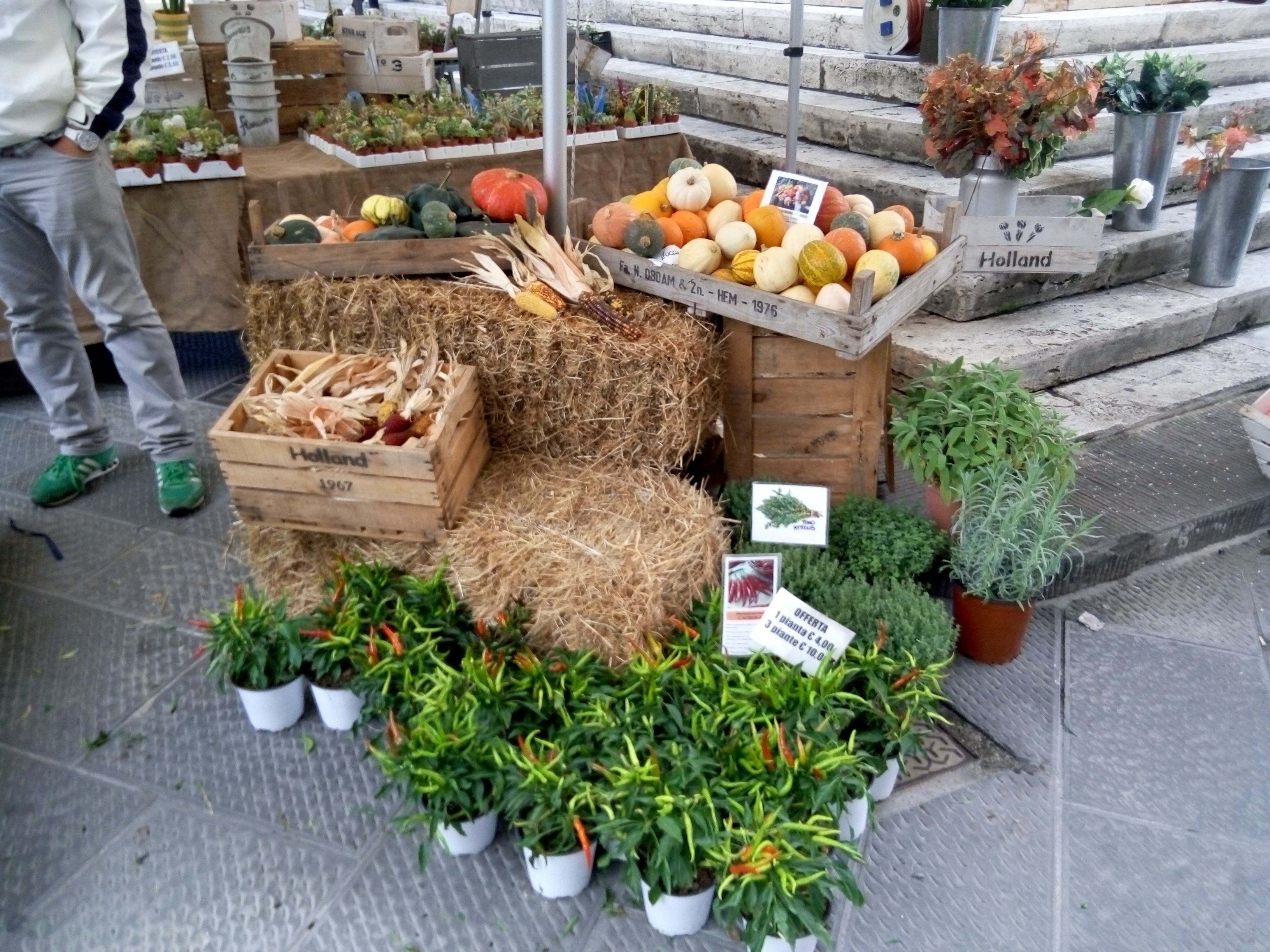 Mercadillo de Pistoia, por sala2500
