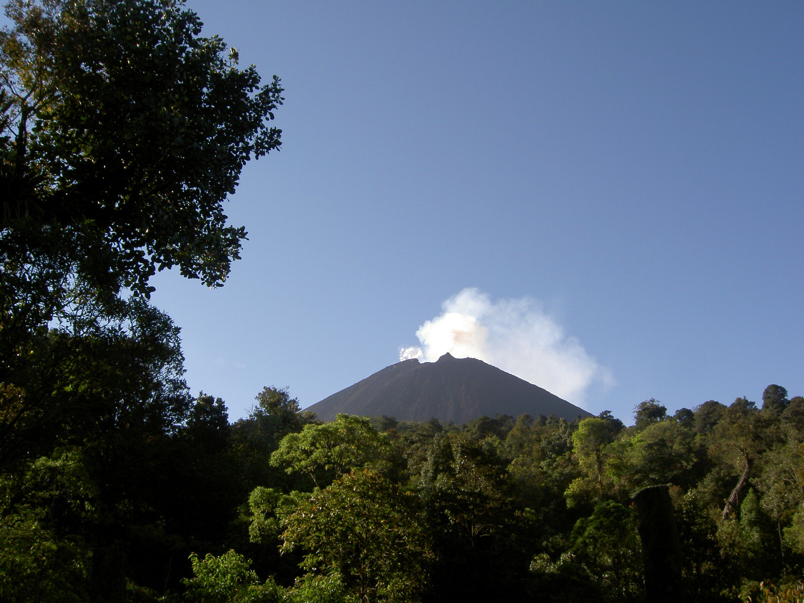 San Vicente Pacaya, por guanche
