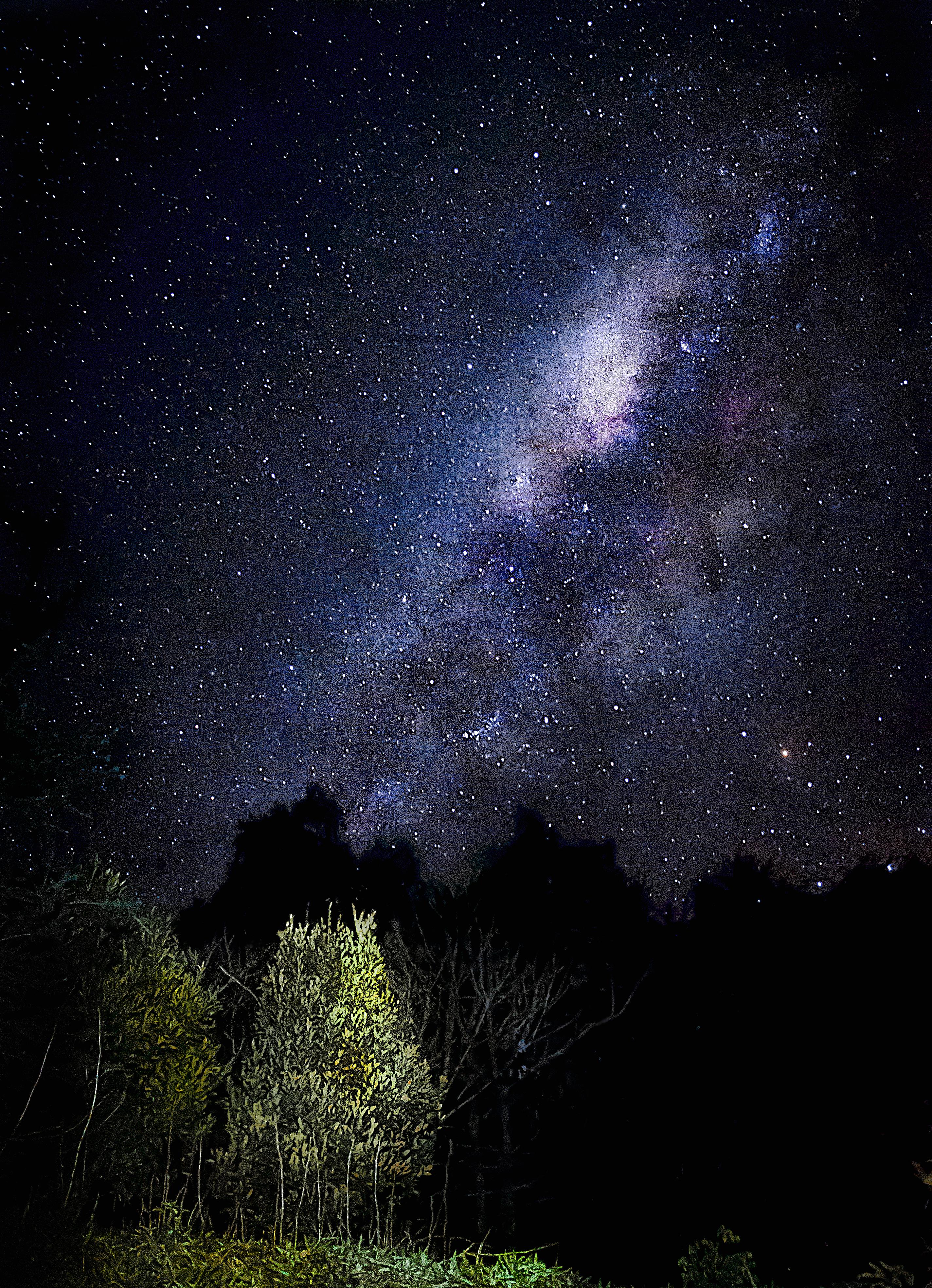 Parque Nacional Itatiaia, por Carlos Miguel