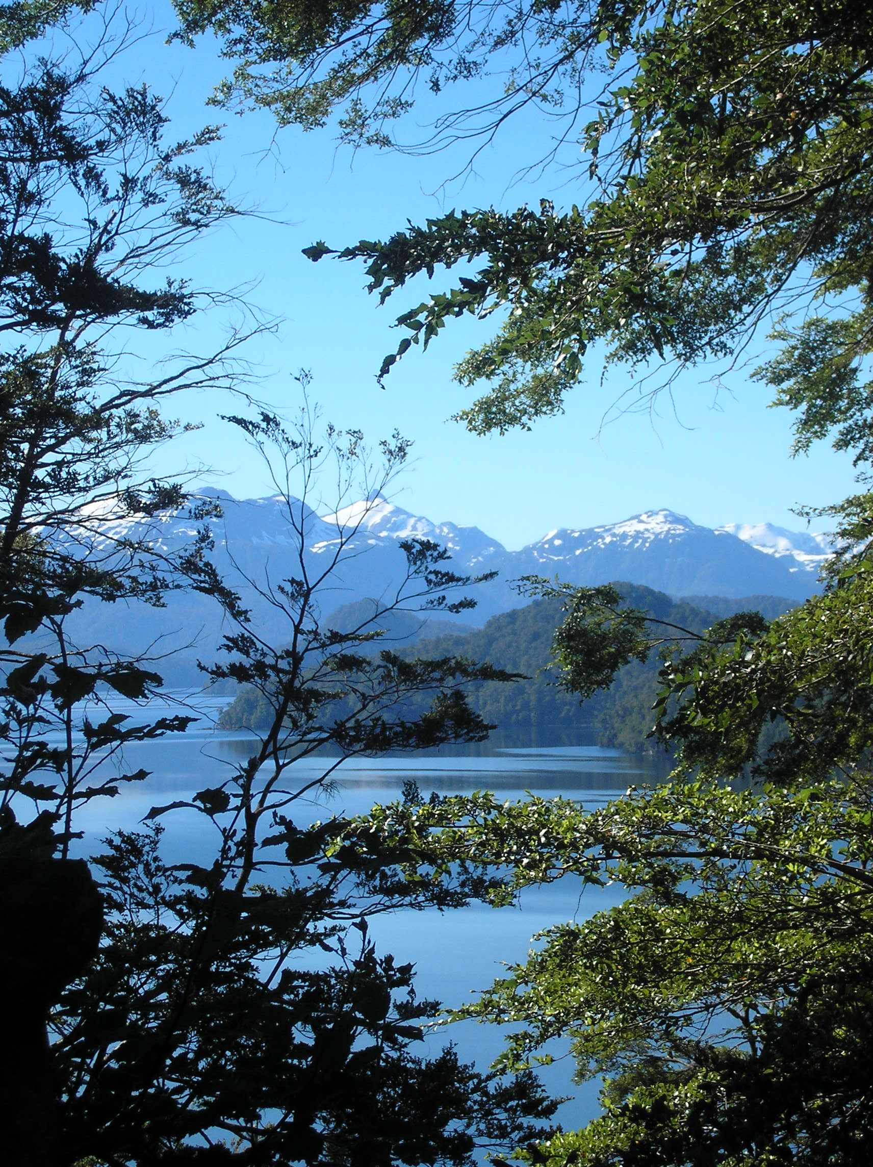 Villa la Angostura, por sarita
