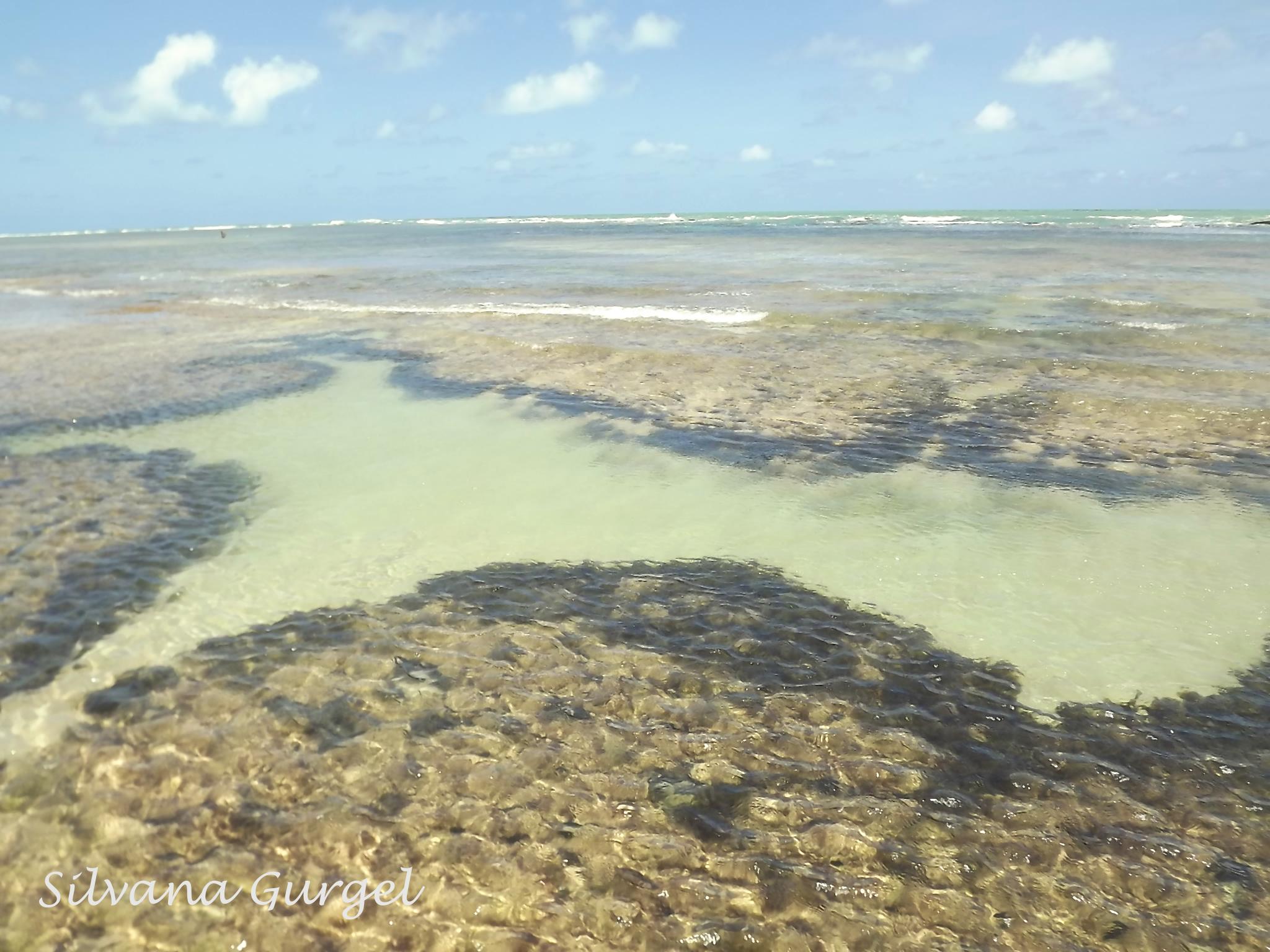 Piscinas naturales de Areia Vermelha, por Silvana Gurgel