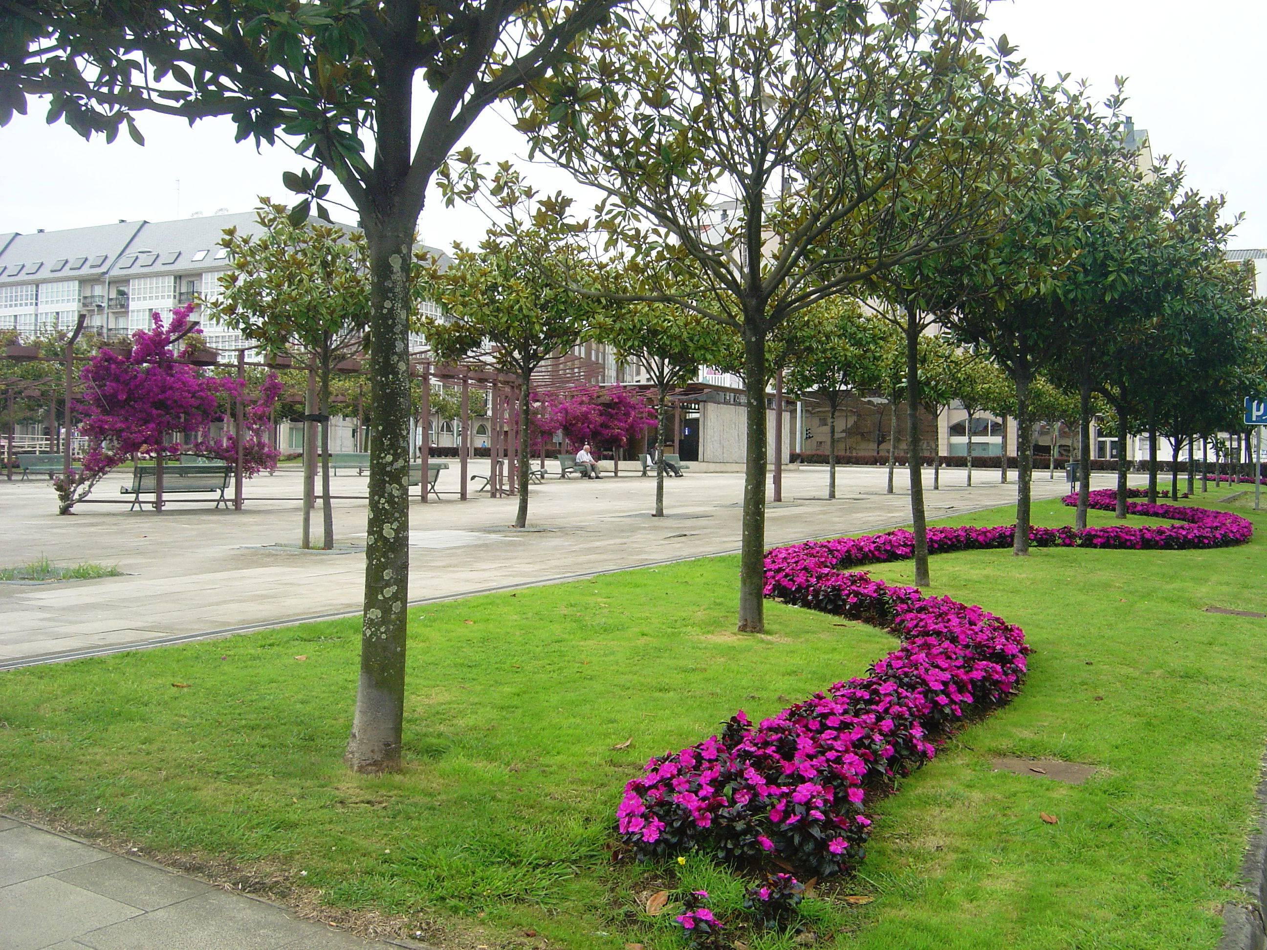 Plaza de Porta Nova, por Javier 