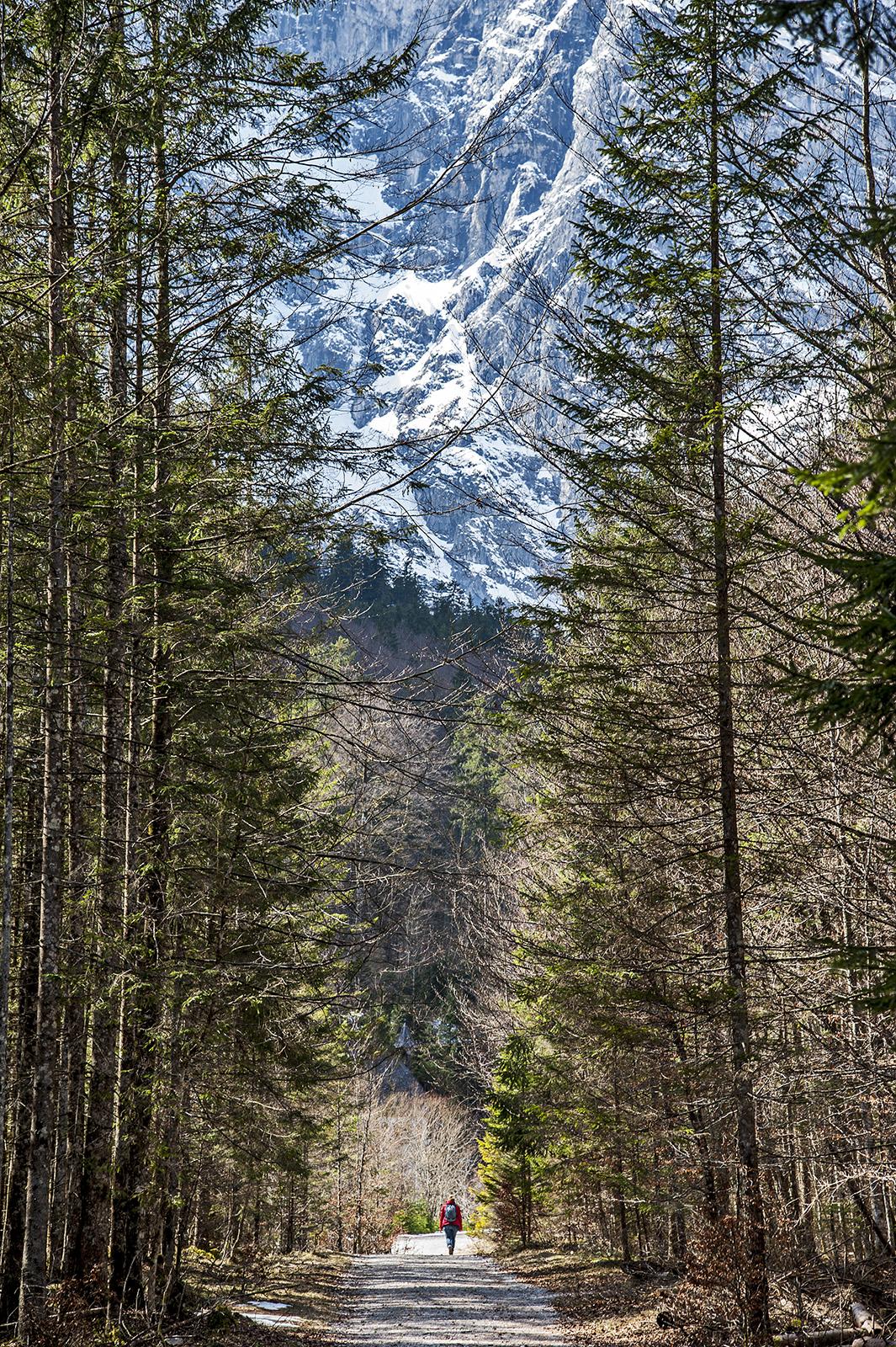 Traunsee, por Leonardo Merçon