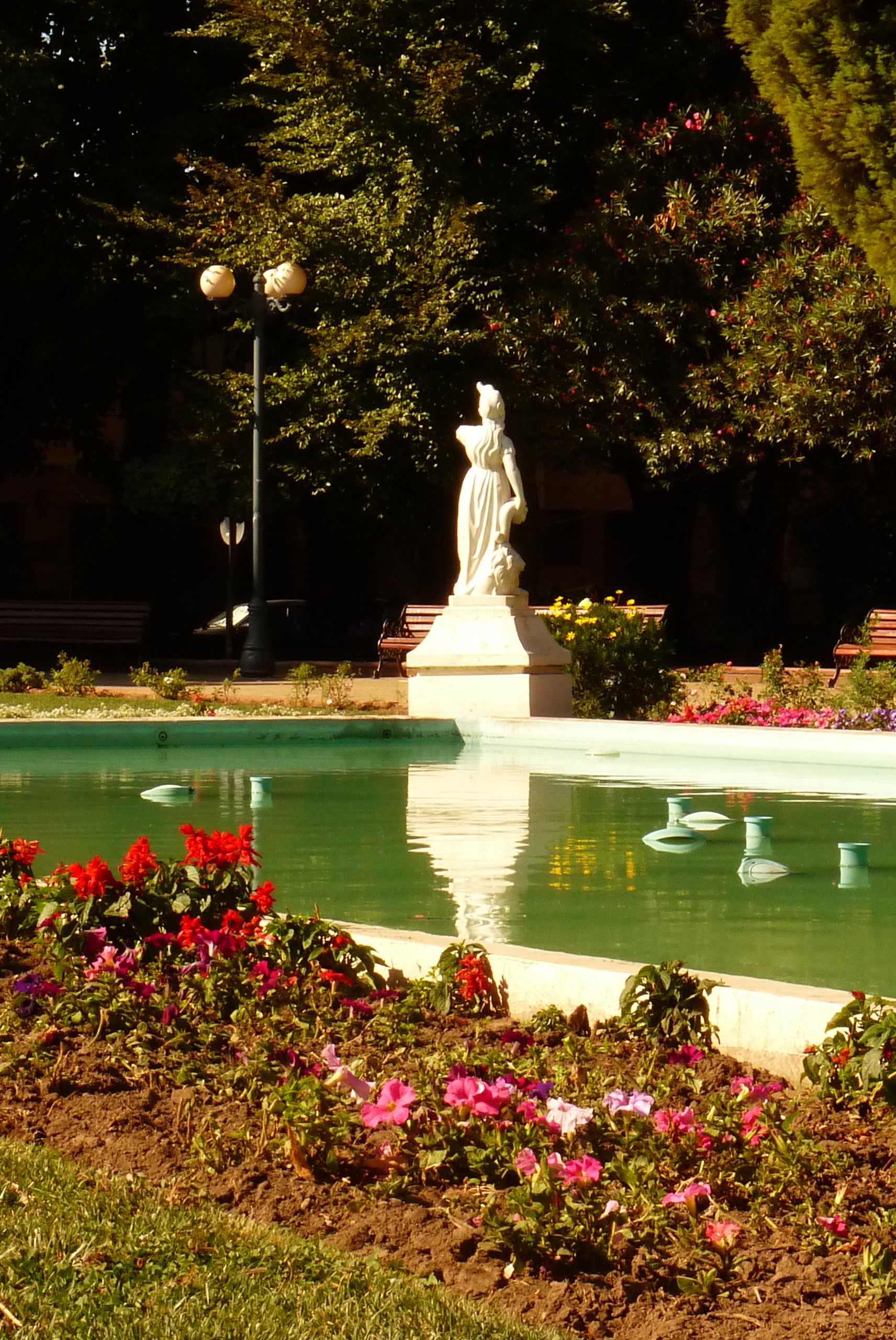 Plaza de Armas Aníbal Pinto, por Pablo Olivera 
