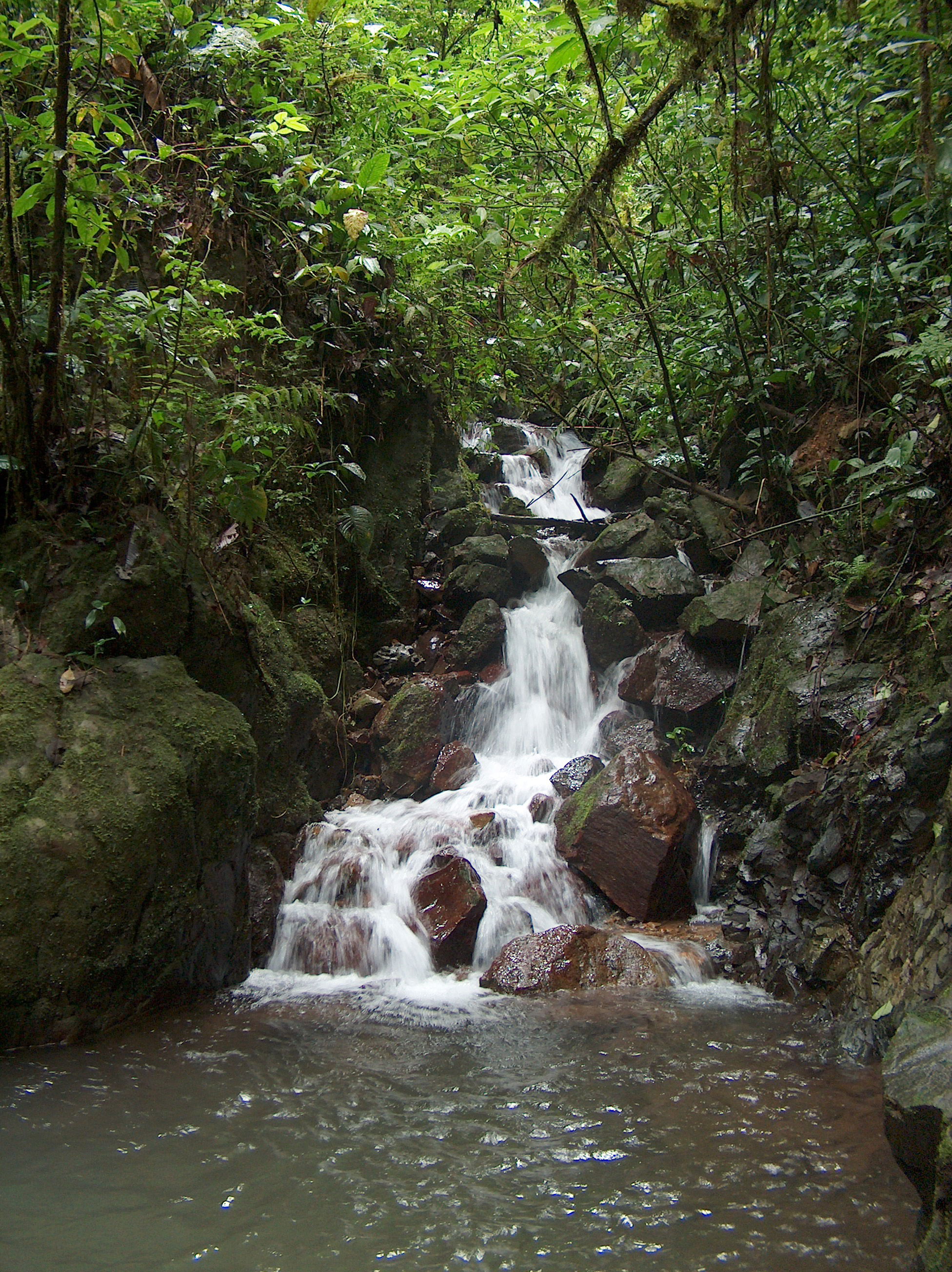 Reservas naturales en Heredia que te sorprenderán y encantarán