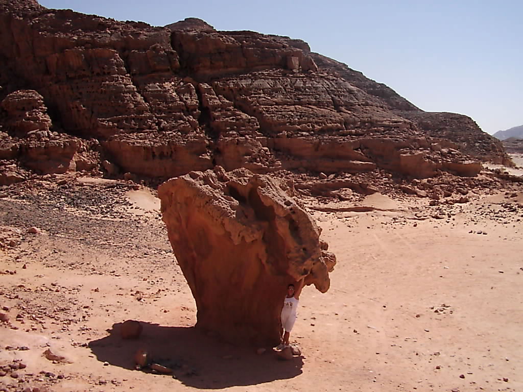 Arbol de Piedra, por Yola